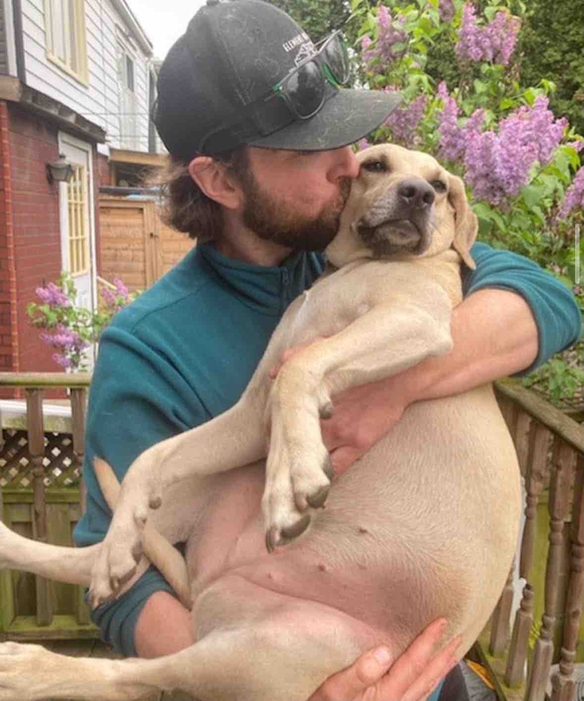 Help Cheddar Walk Again After Tragedy campaign photo, 2 of 8