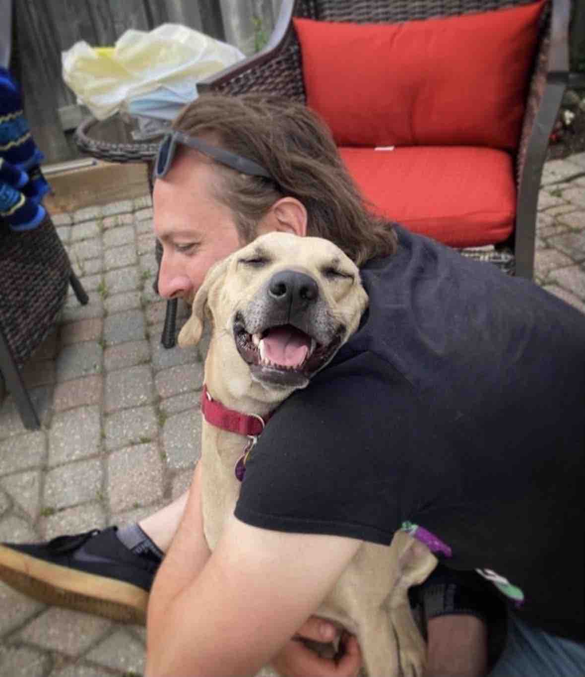 Help Cheddar Walk Again After Tragedy campaign photo, 4 of 8