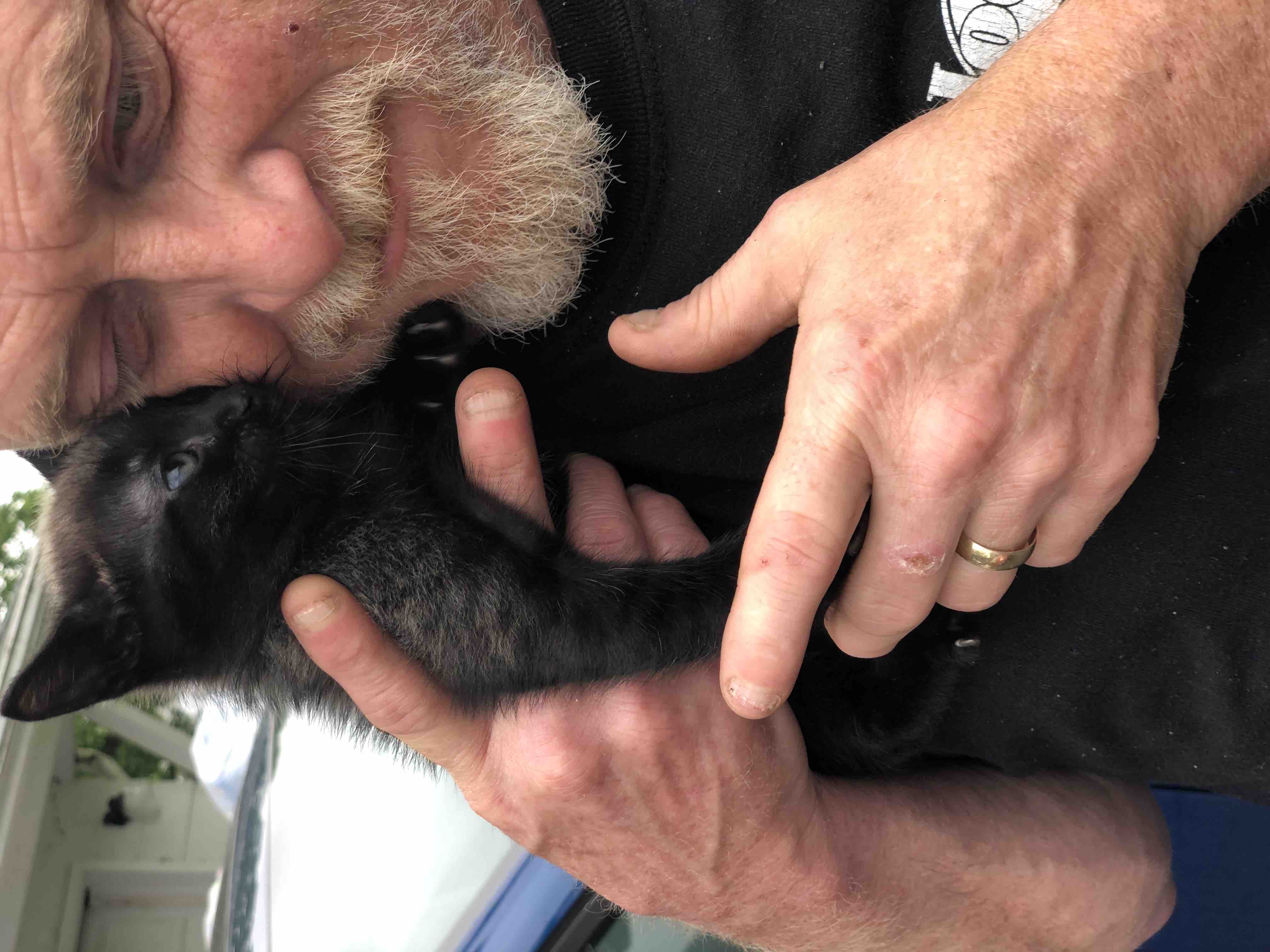 Support for Donald Walton Jr.'s Memorial and Nala's Care campaign photo, 4 of 7
