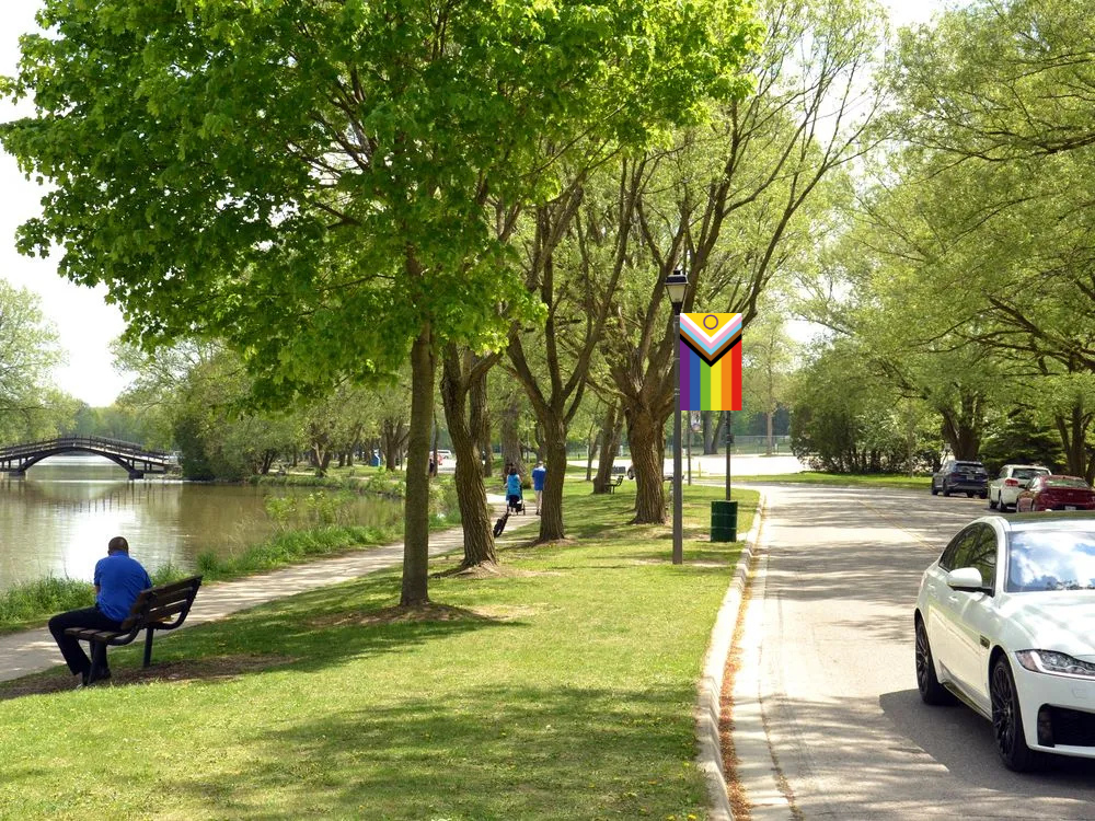 Purchase Pride Flags for local Light Poles campaign photo, 4 of 5