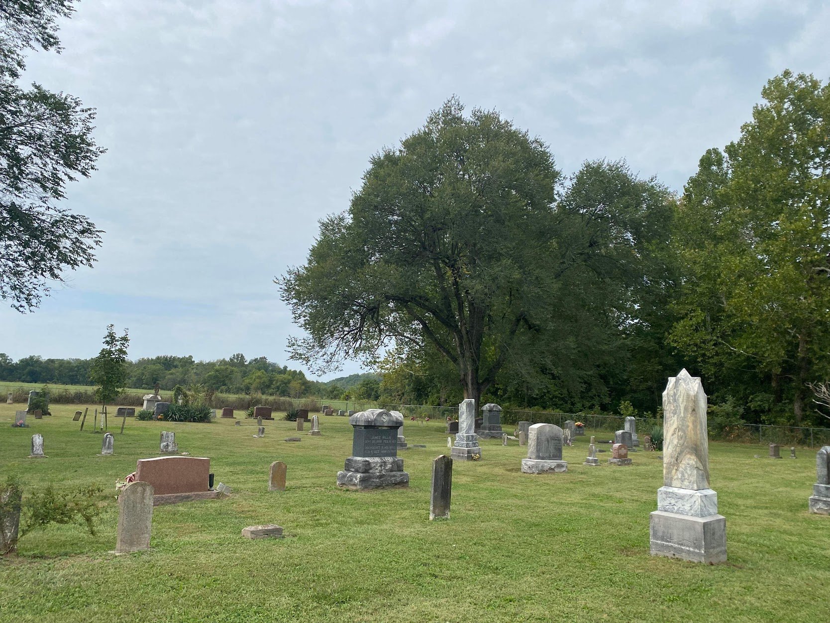 Preserve Williams Graveyard's Historic Grounds campaign photo, 5 of 8