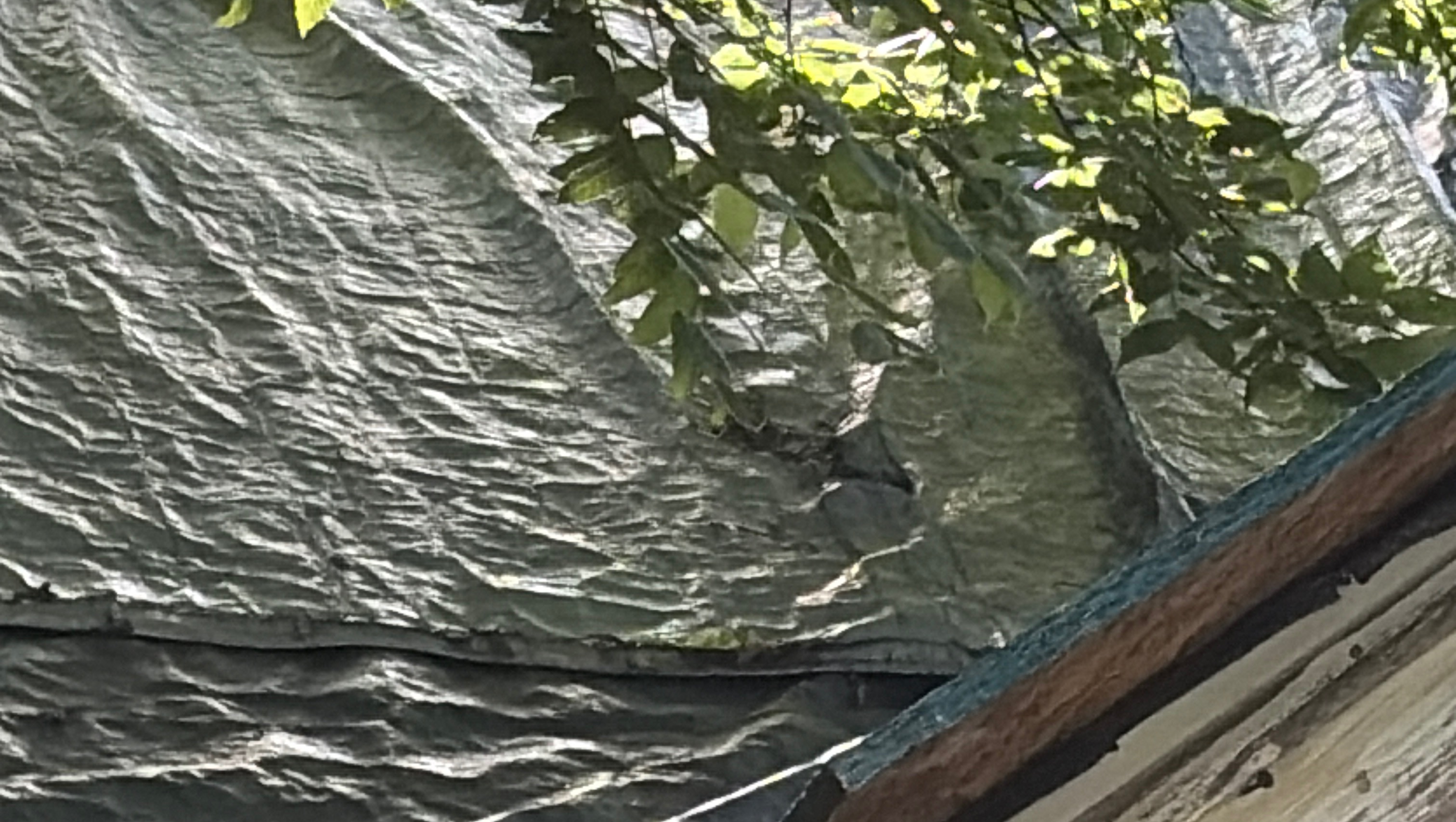 Support Lequeita’s Urgent Roof Repair photo