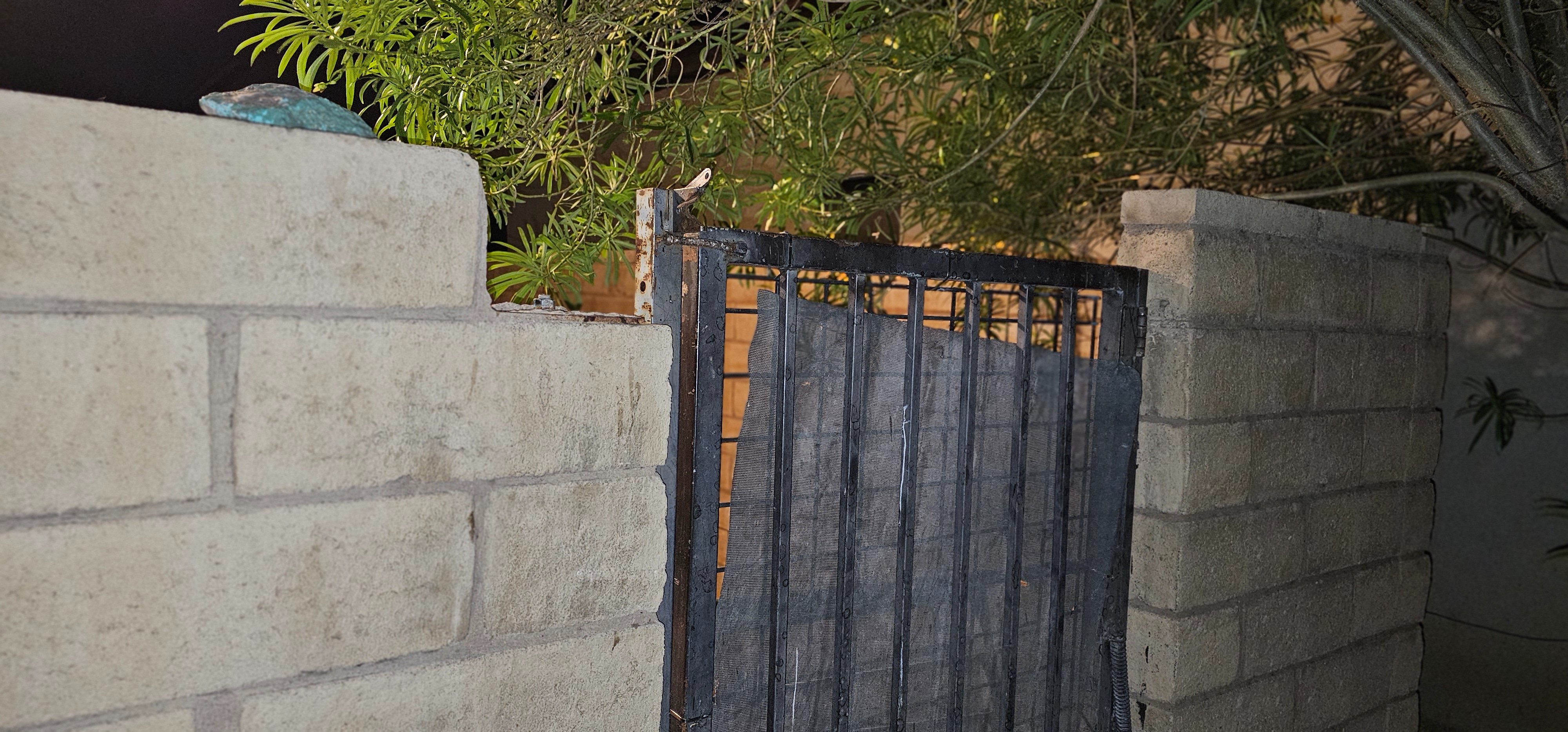 Help Jennifer, Her Son & Dogs Stay in Their Home! campaign photo, 2 of 7
