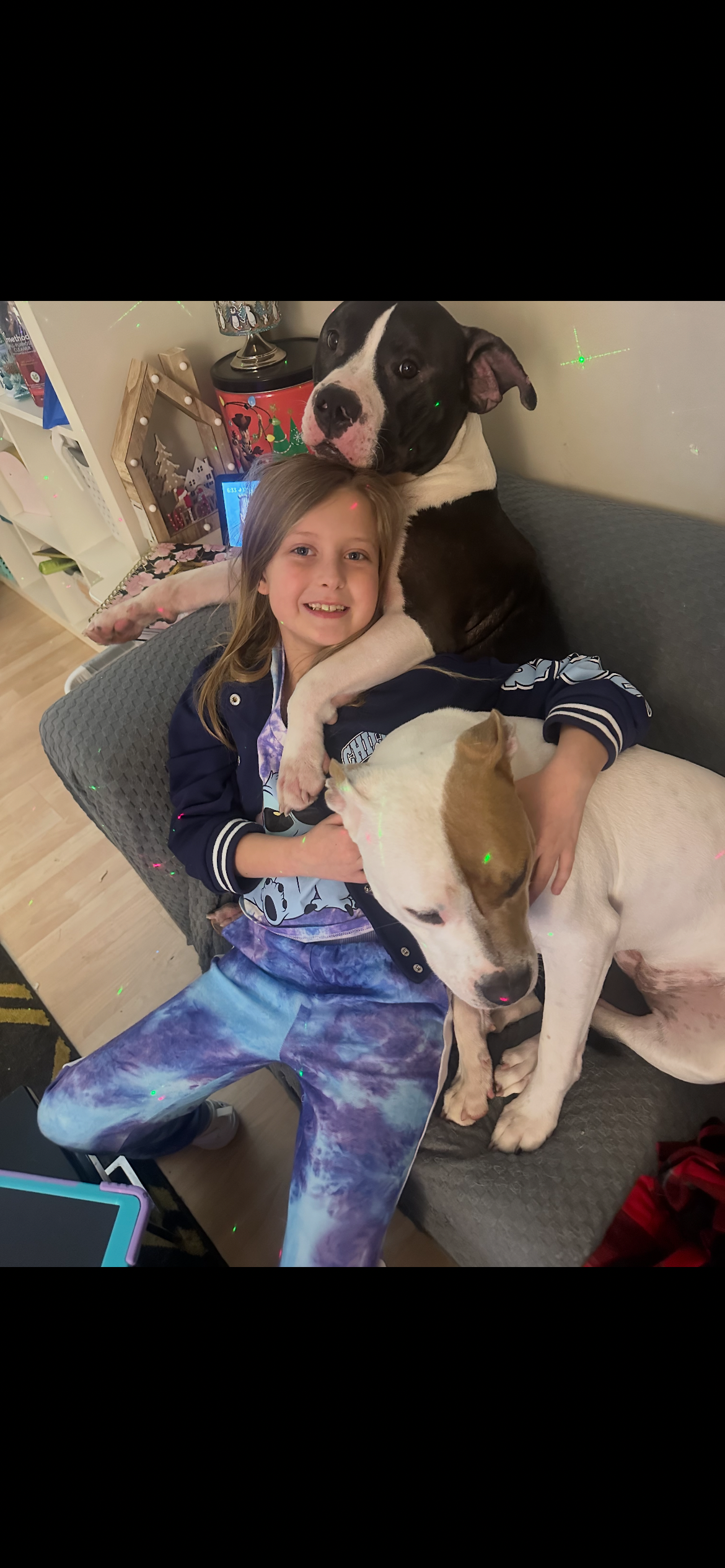 Support Heather's Healing After Dog Attack campaign photo, 4 of 8