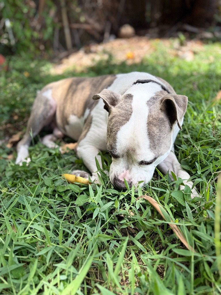 [Support Training] please help me get home -ACE campaign photo, 6 of 6