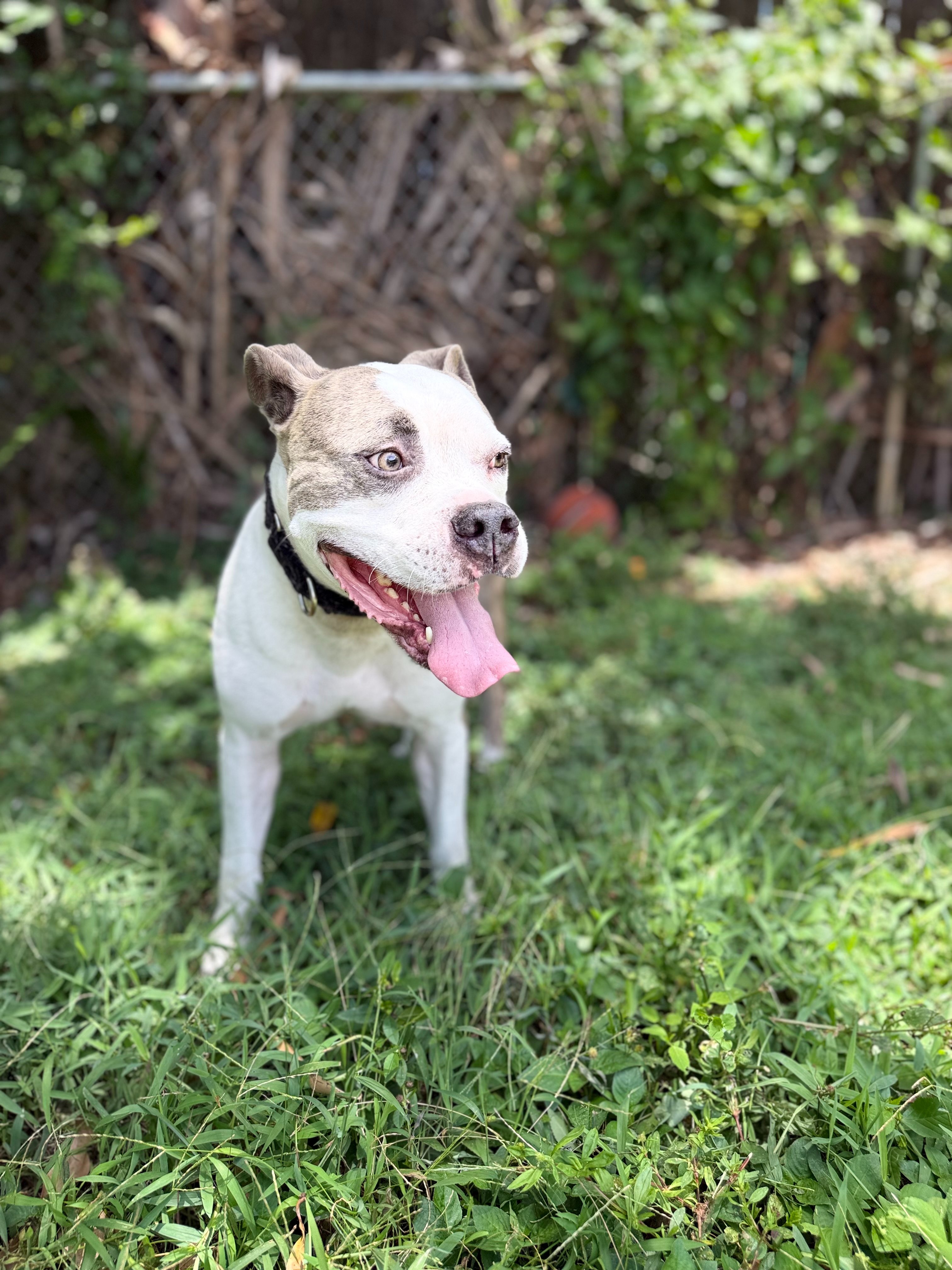 [Support Training] please help me get home -ACE campaign photo, 2 of 6