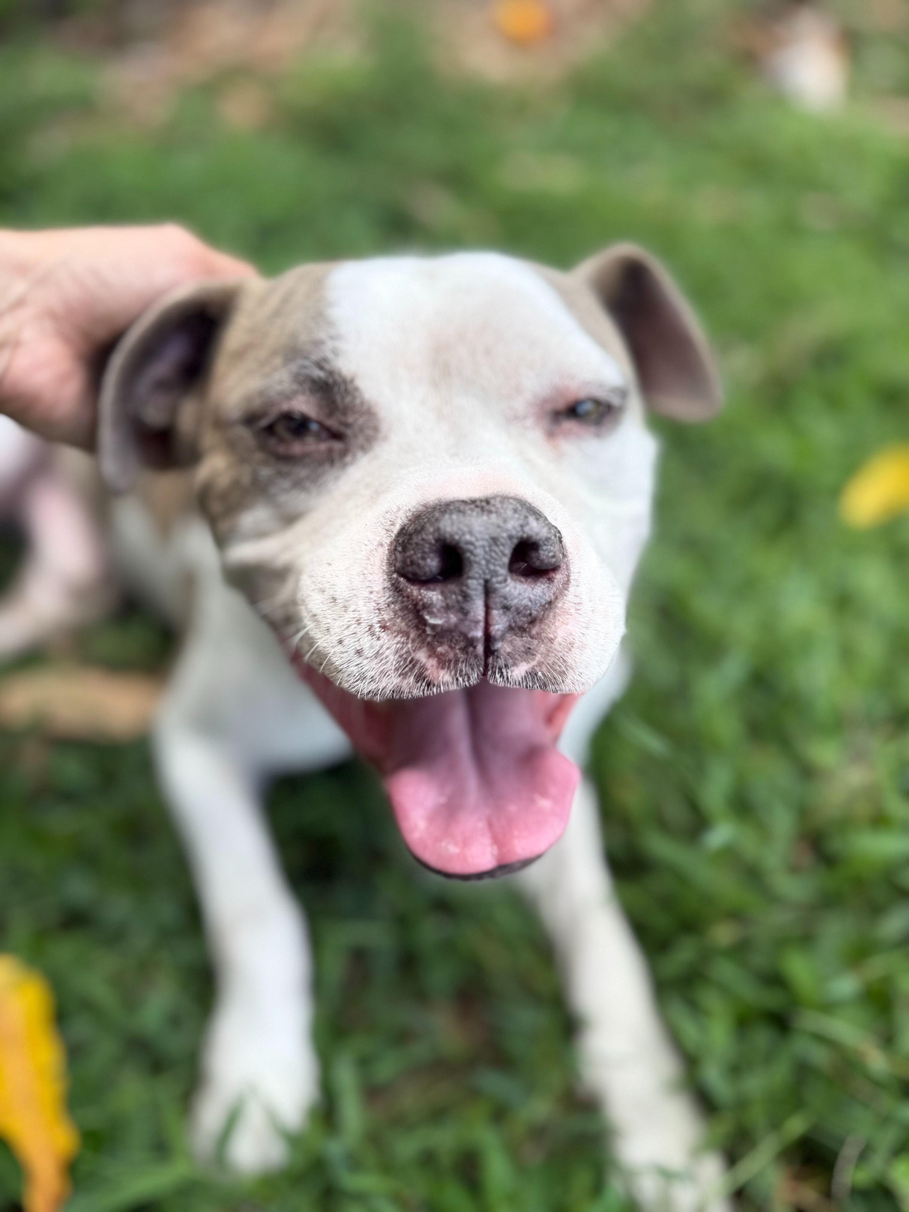 [Support Training] please help me get home -ACE campaign photo, 4 of 6