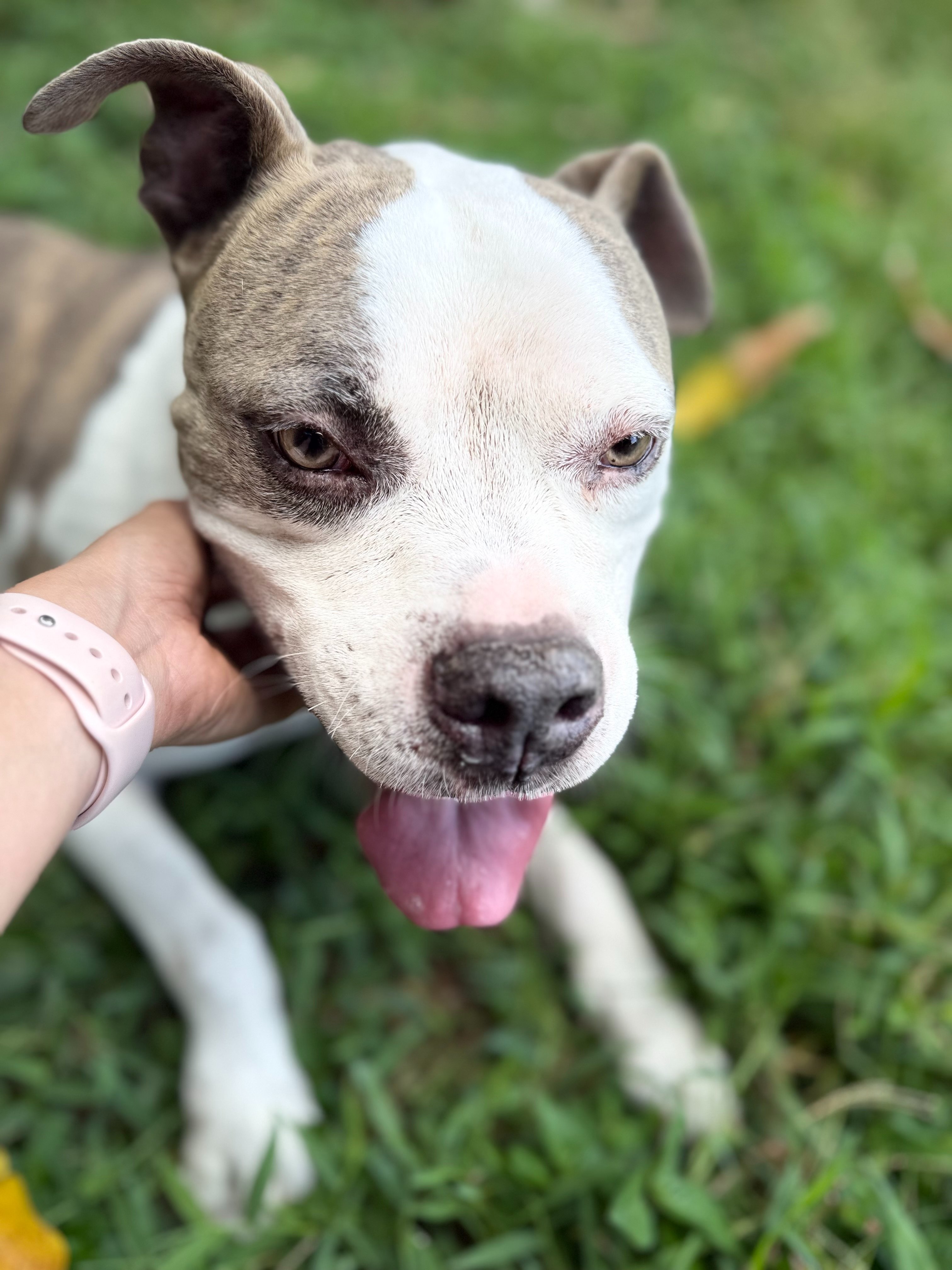 [Support Training] please help me get home -ACE campaign photo, 5 of 6