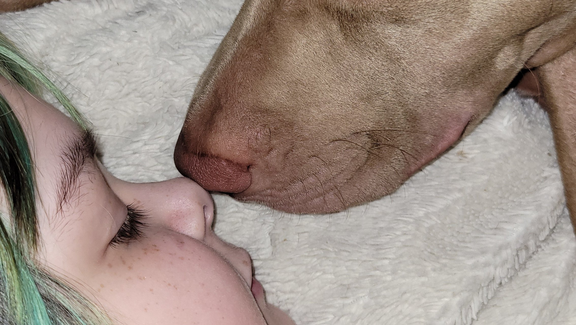 Urgent Aid For Homeless Teen, Pets, and Mom. photo