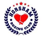 Horsham Amateur Boxing Club Gym Extension (John Essex RIP) campaign photo, 4 of 5