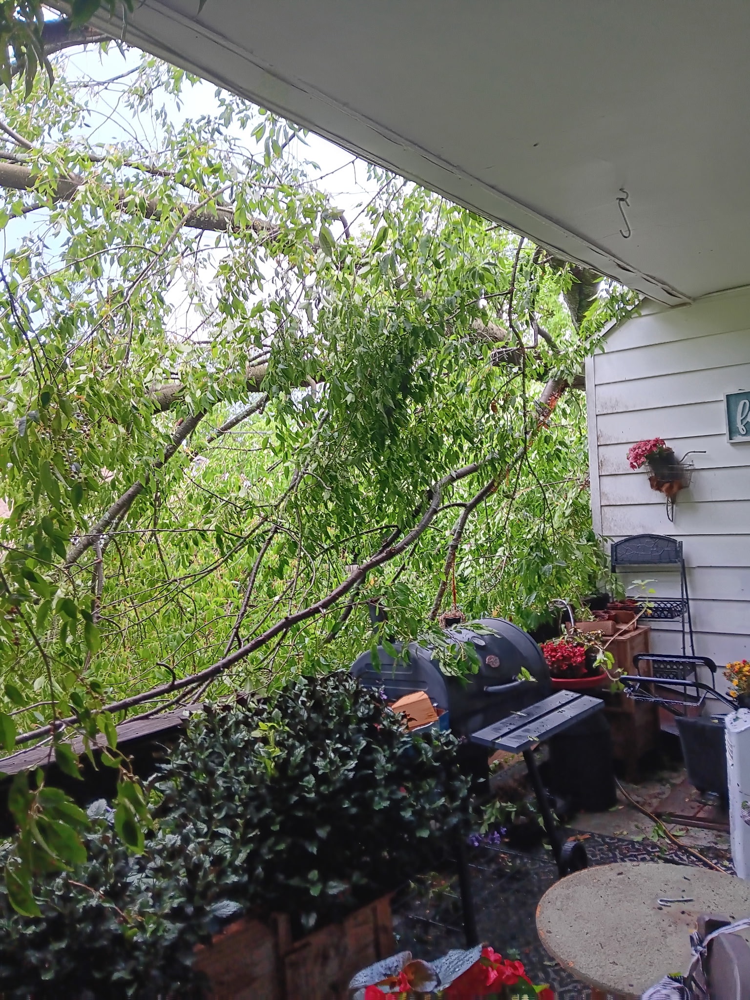 Support Ms. Kimmie After Tornado Damage campaign photo, 2 of 5