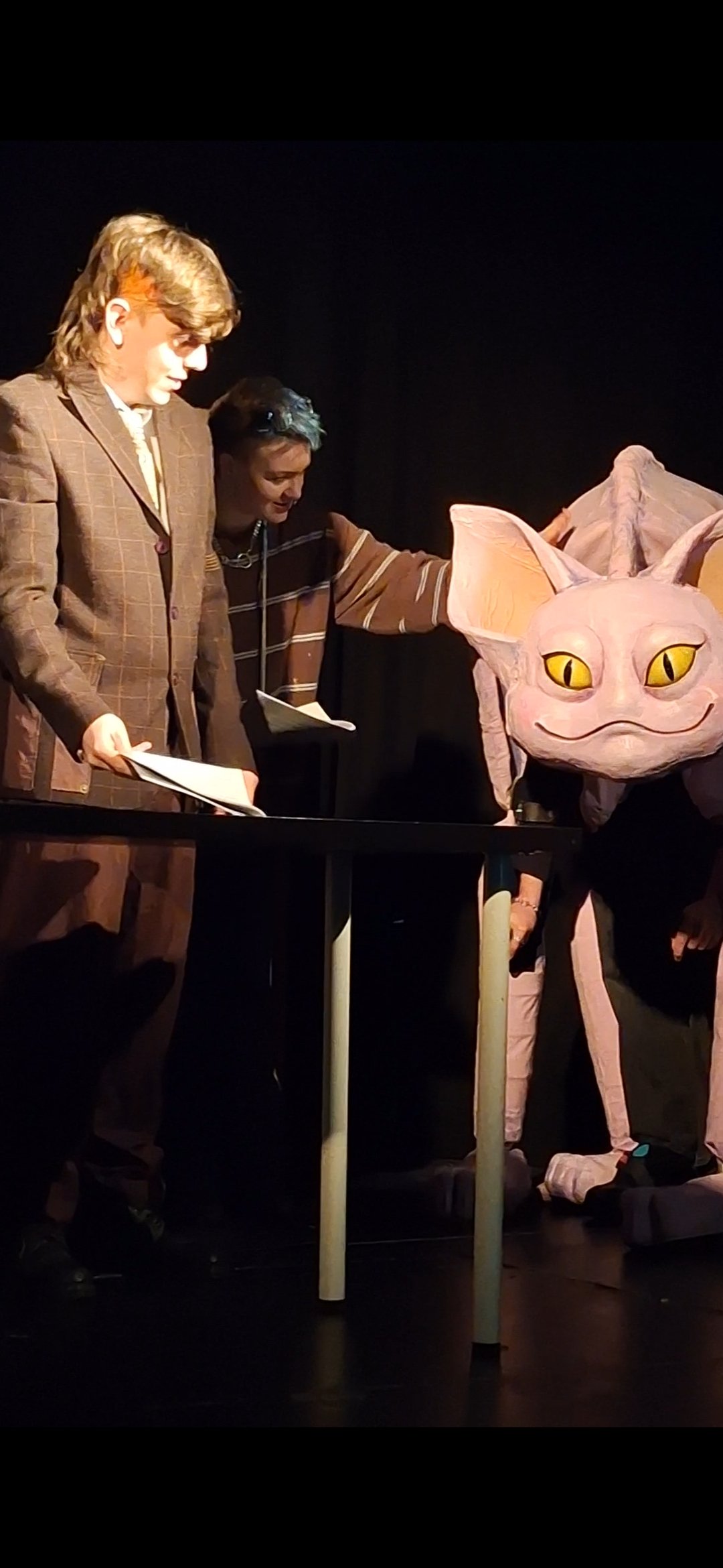 Help a Dublin puppet theatre get off the ground! campaign photo, 5 of 8