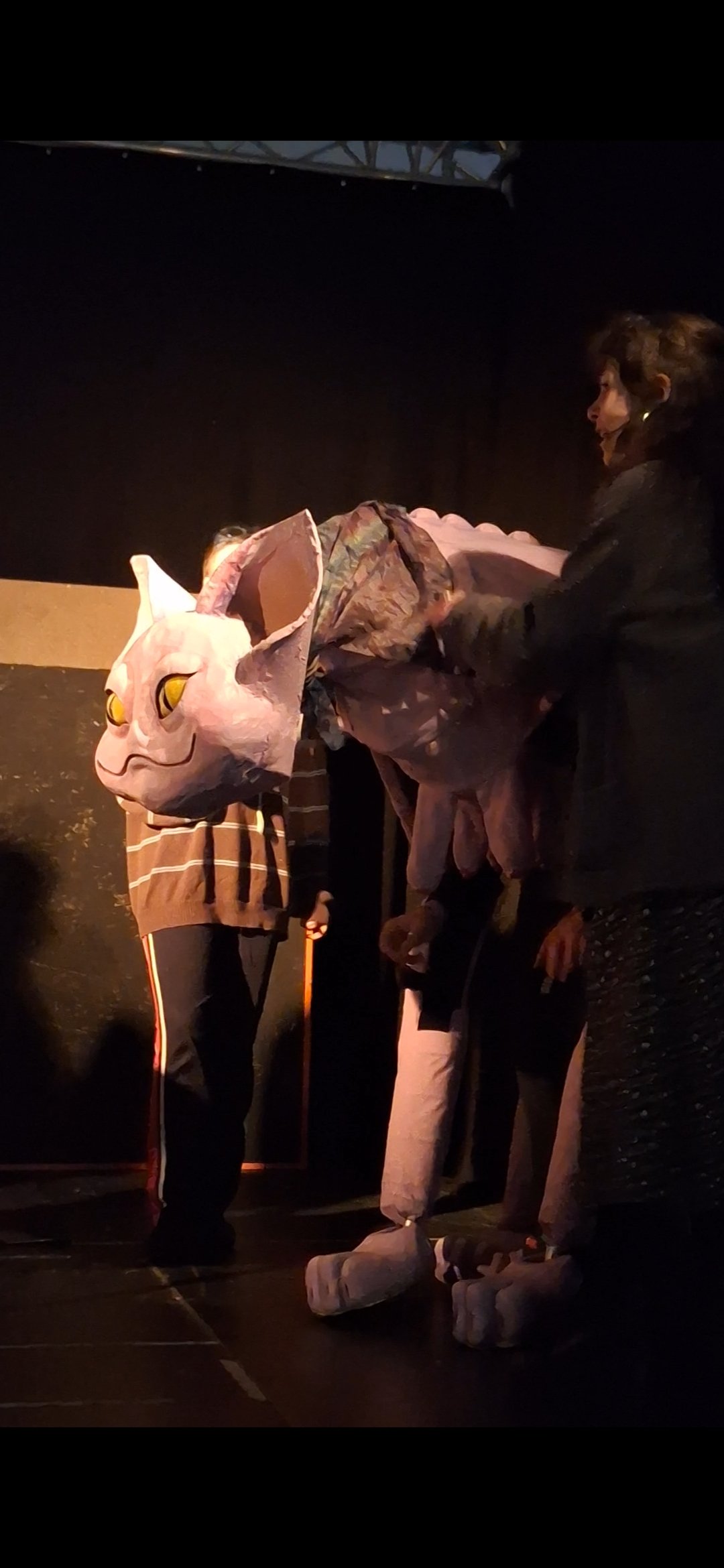 Help a Dublin puppet theatre get off the ground! campaign photo, 6 of 8