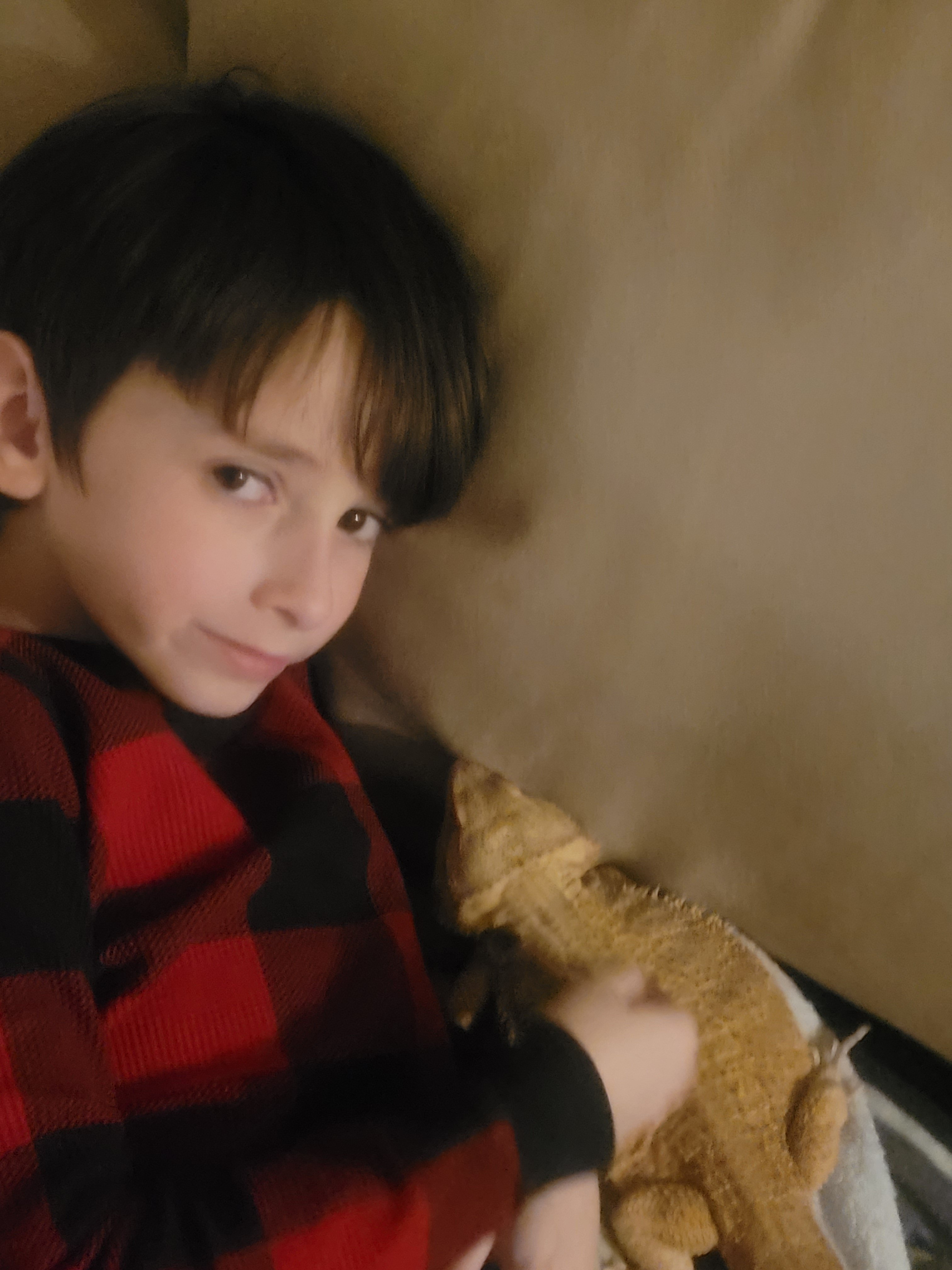 Urgent Vet Care for Adam's Bearded Dragon campaign photo, 6 of 8
