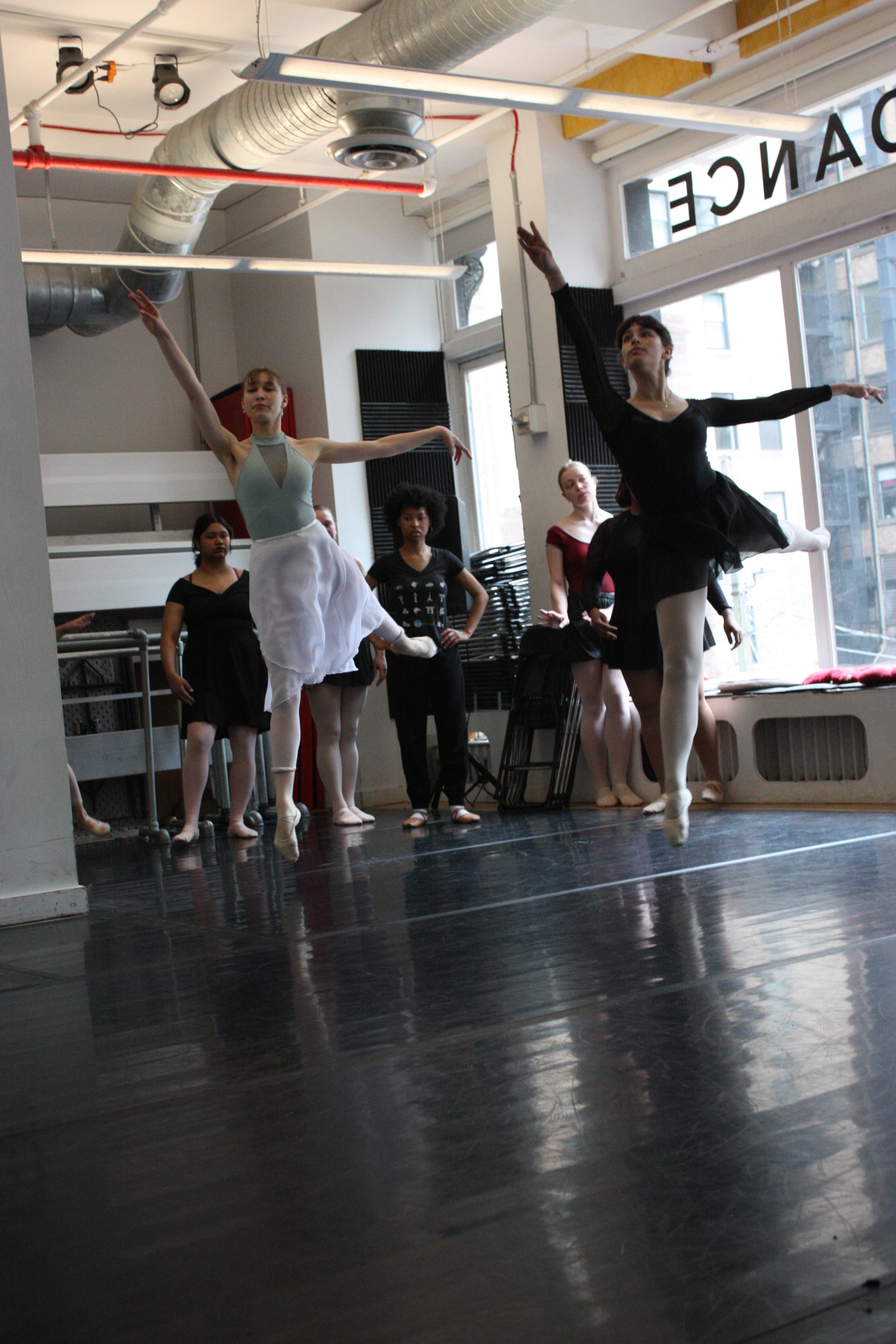 Join Us in Supporting Adult Ballet Performances at ABC! campaign photo, 2 of 8