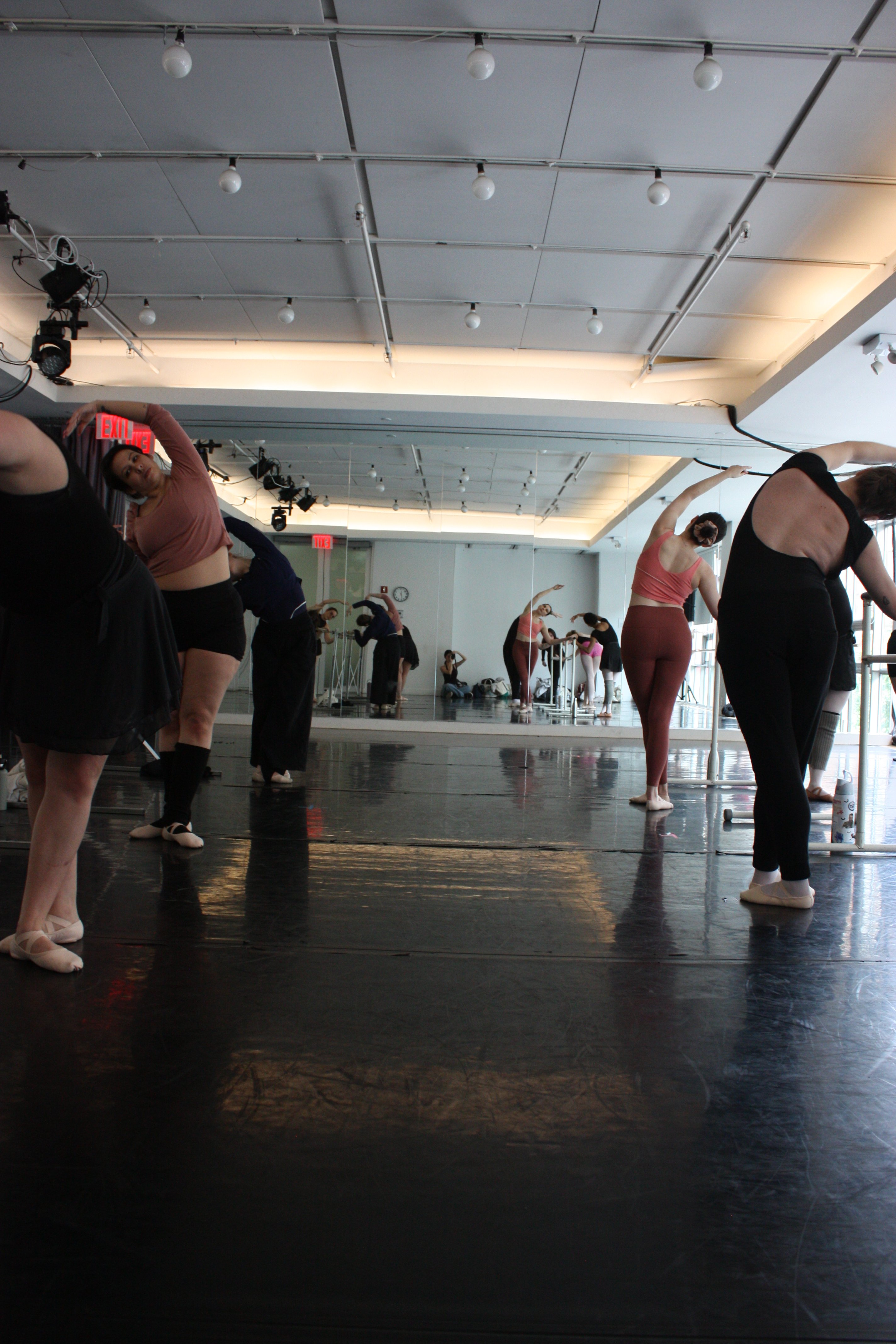 Join Us in Supporting Adult Ballet Performances at ABC! campaign photo, 4 of 8
