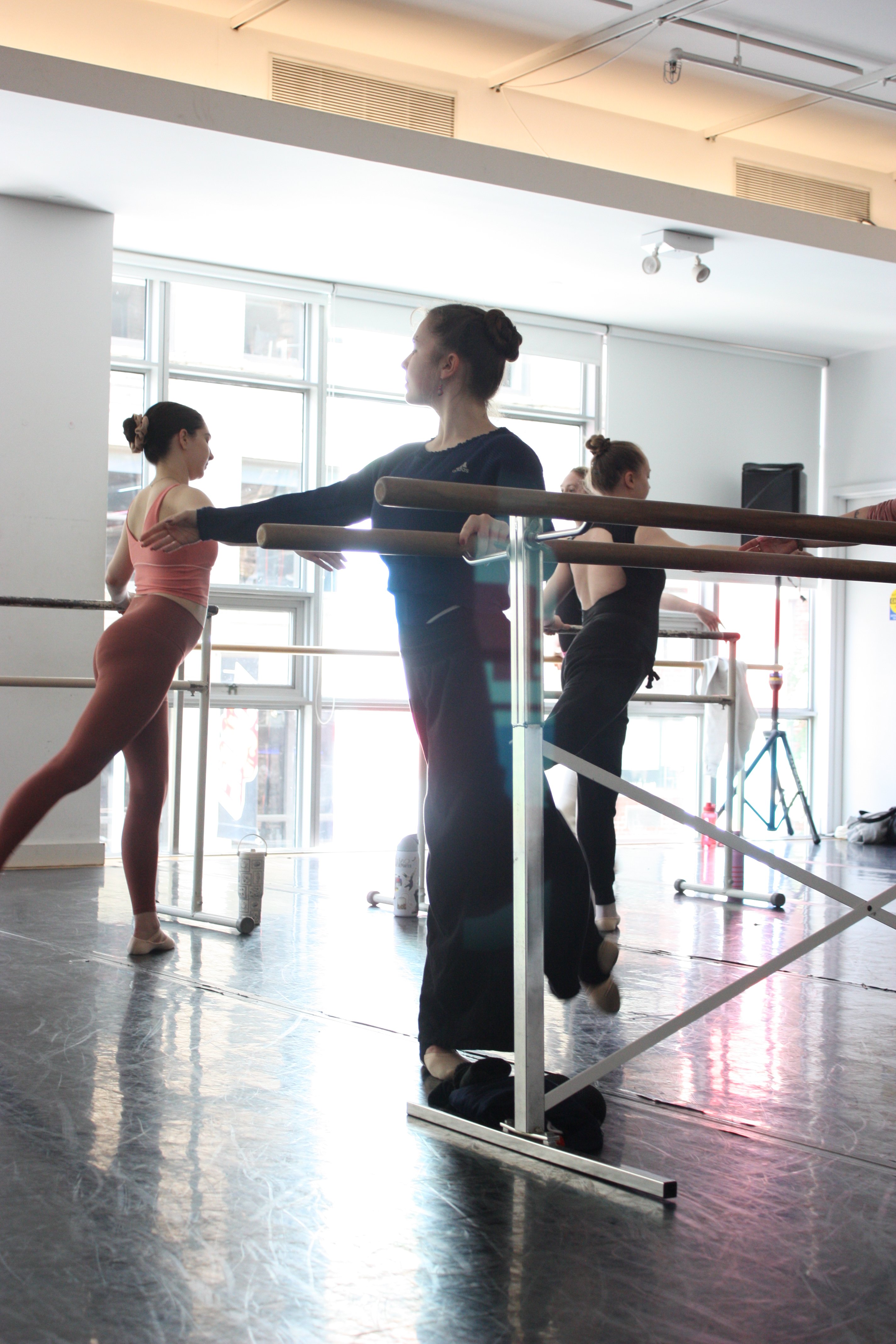 Join Us in Supporting Adult Ballet Performances at ABC! campaign photo, 5 of 8