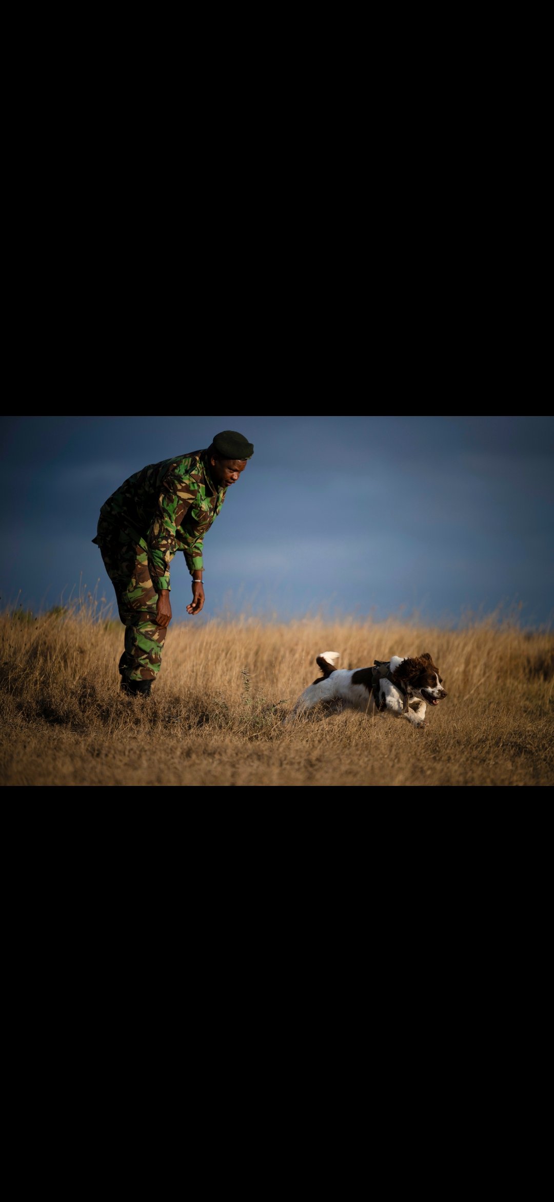 Aggiornamento dal campo Ol Pejeta Conservancy campaign photo, 4 of 6
