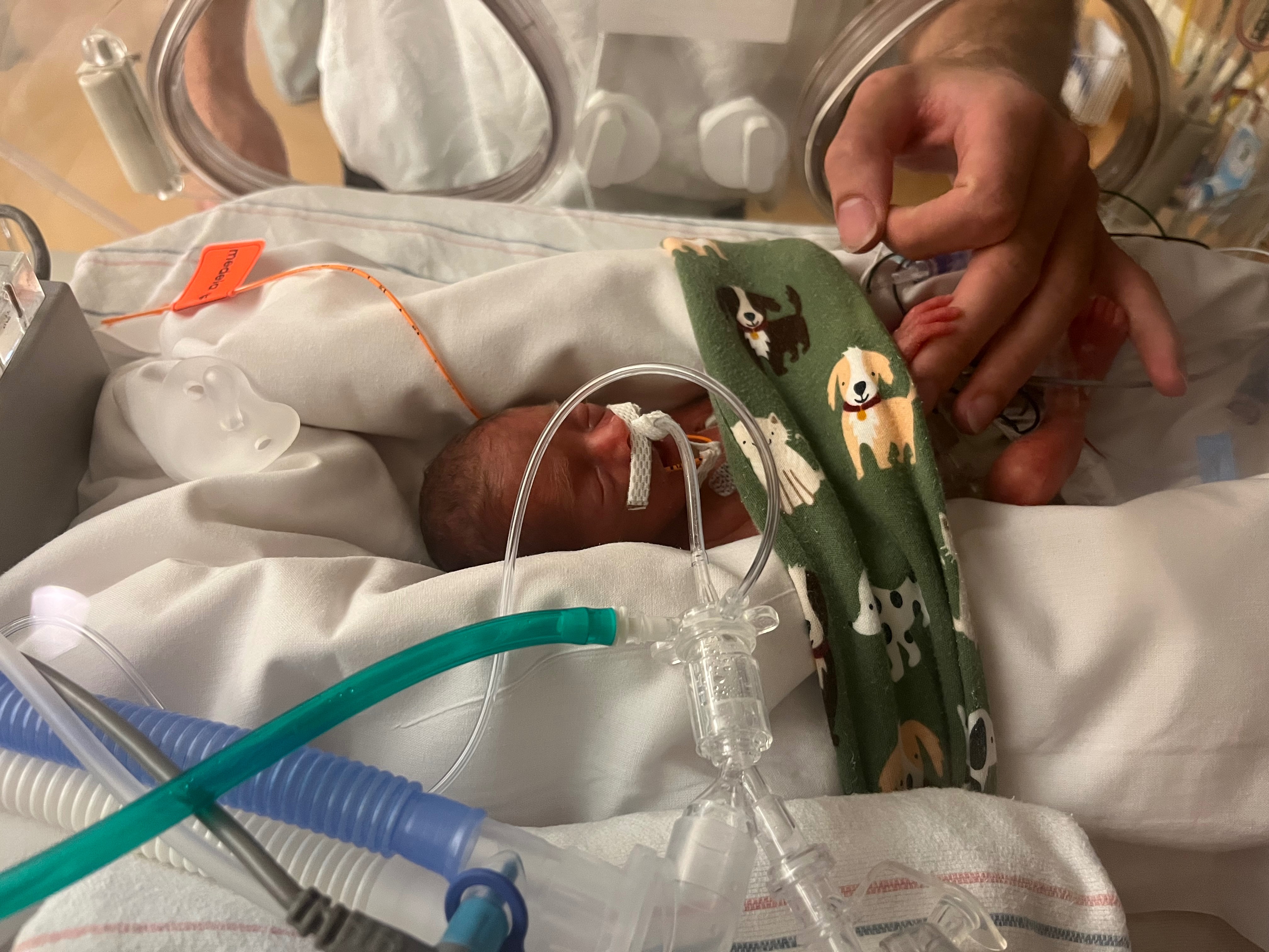 Standing With Jaconi: A Tiny Fighter’s NICU Journey campaign photo, 6 of 7