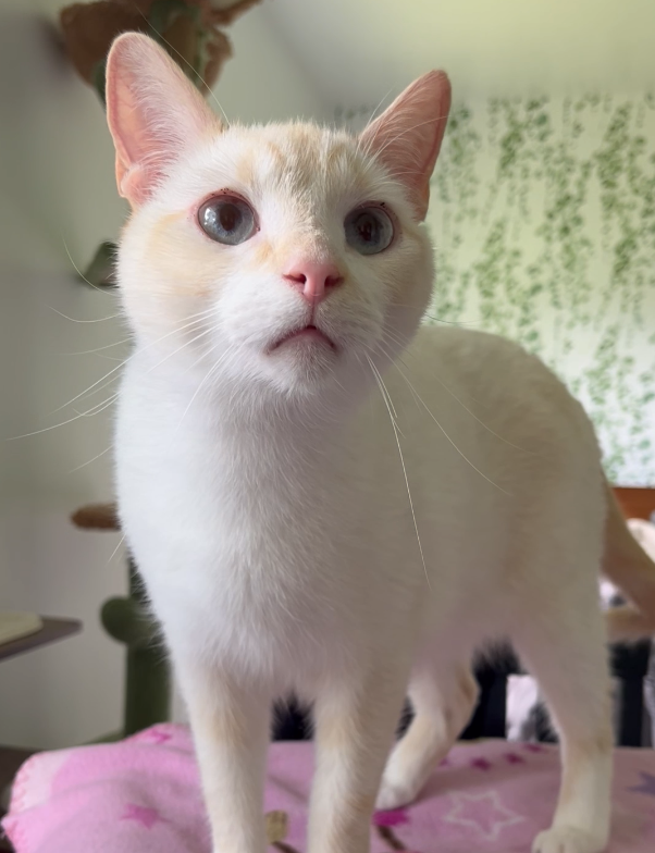 Help Kiwi Get His Dental X-Ray and Care campaign photo, 4 of 6