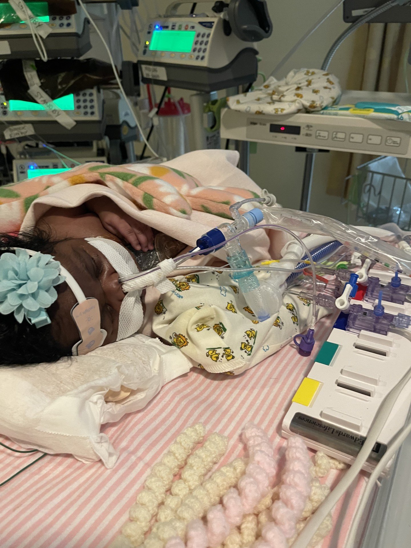 Help Baby Aaria's Heart Journey campaign photo, 7 of 8