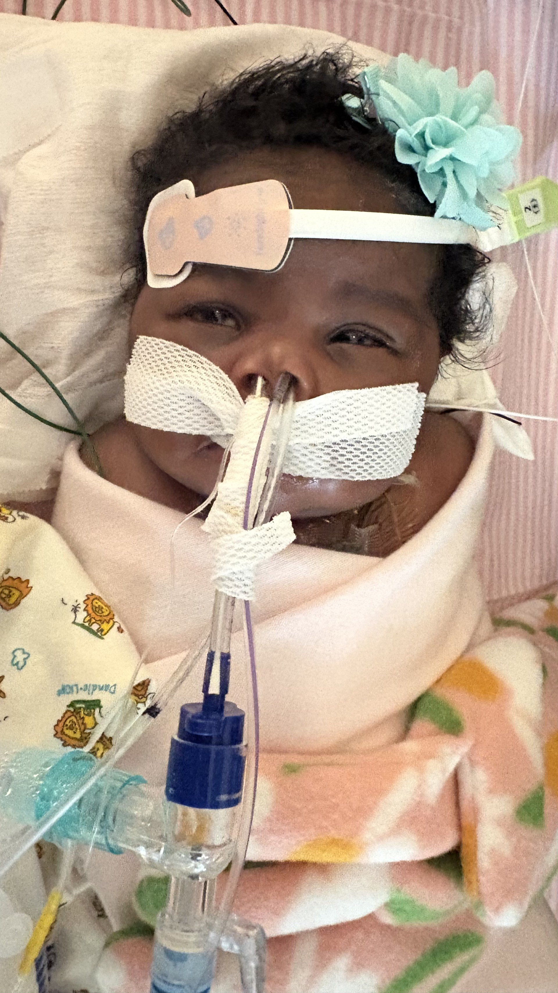 Help Baby Aaria's Heart Journey campaign photo, 2 of 8