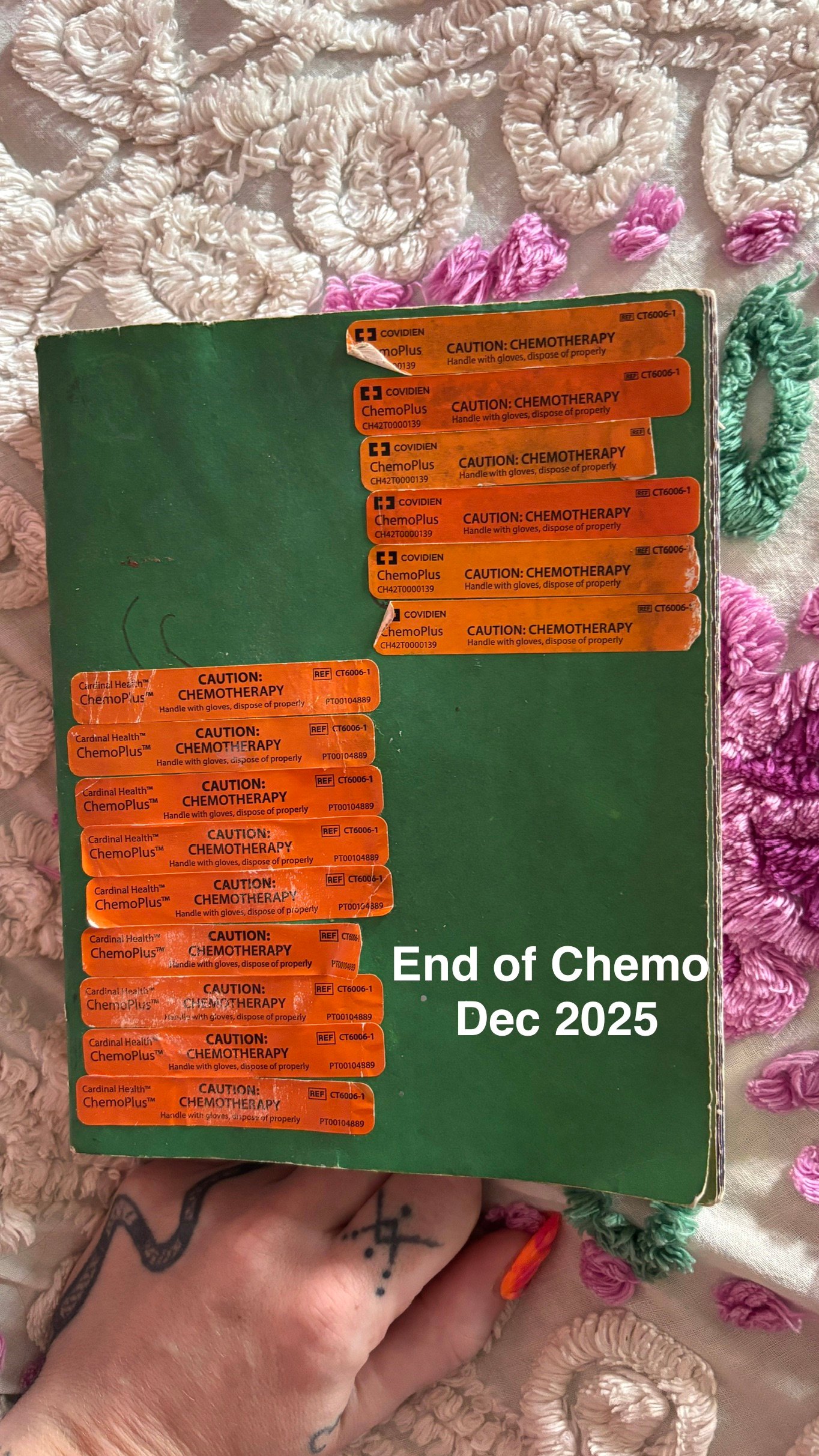 Help Jamila Heal: Support During Her Third Cancer Treatment campaign photo, 2 of 6