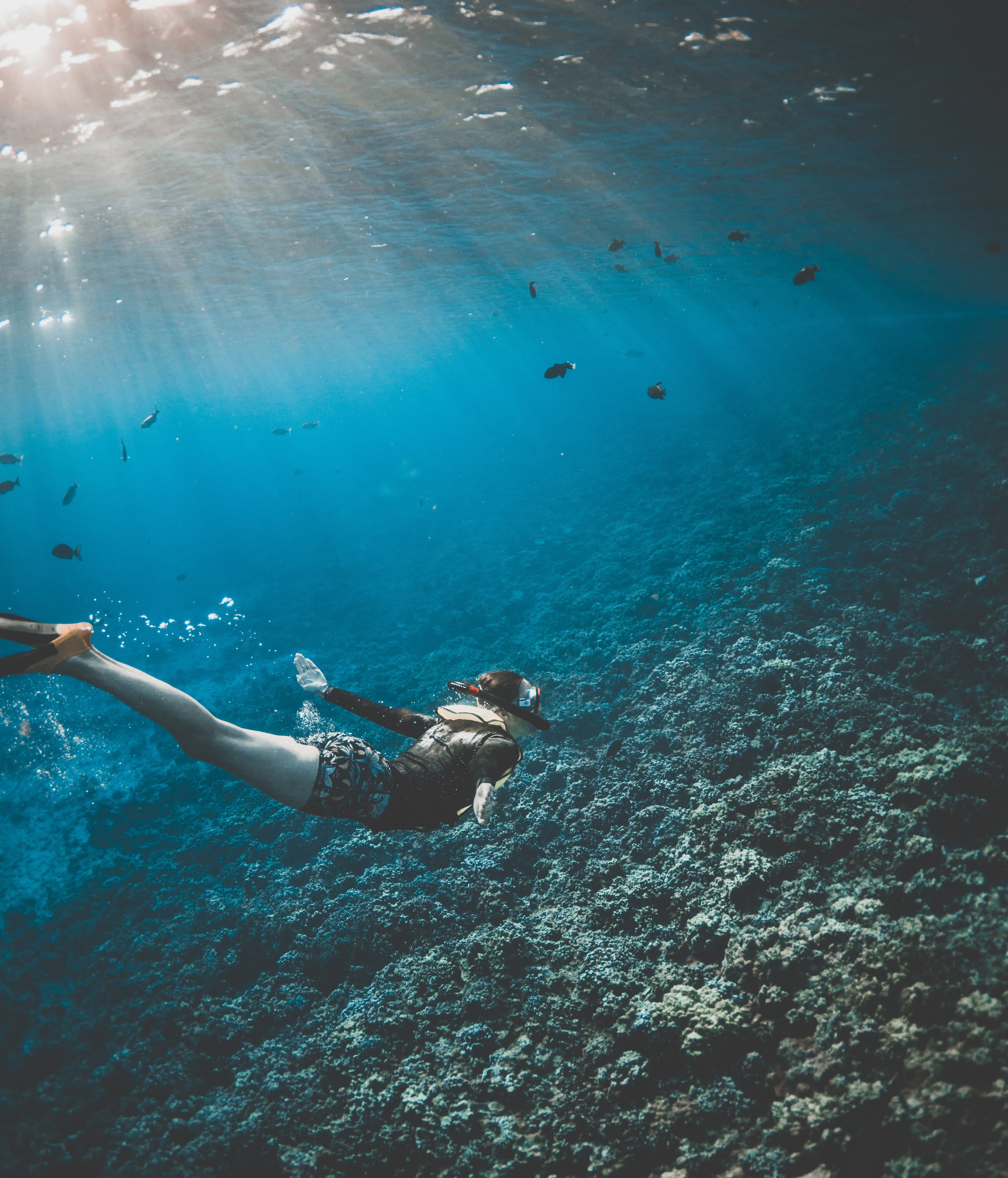 Help Jess Sail for a Plastic-Free Ocean campaign photo, 7 of 8