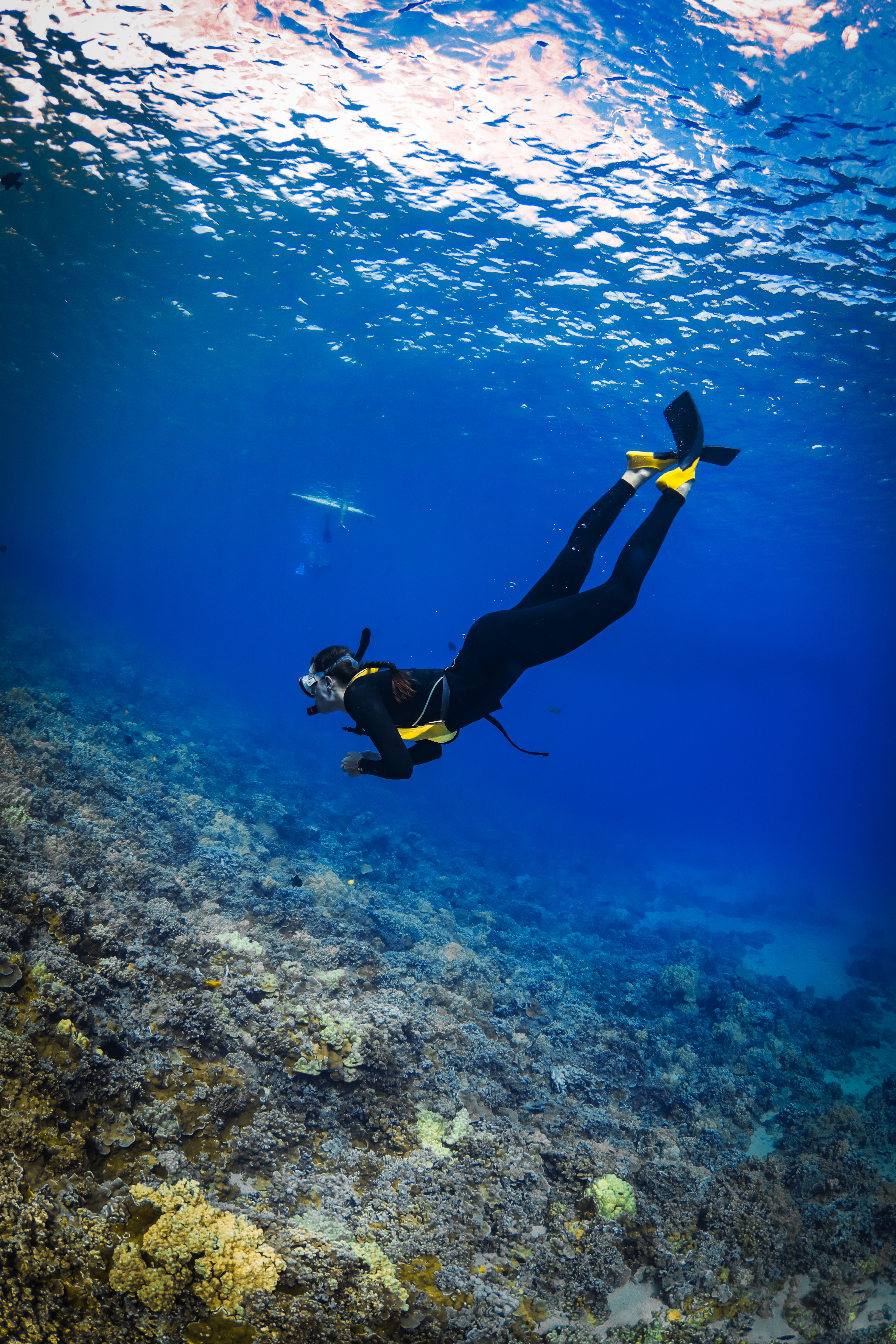 Help Jess Sail for a Plastic-Free Ocean campaign photo, 4 of 8