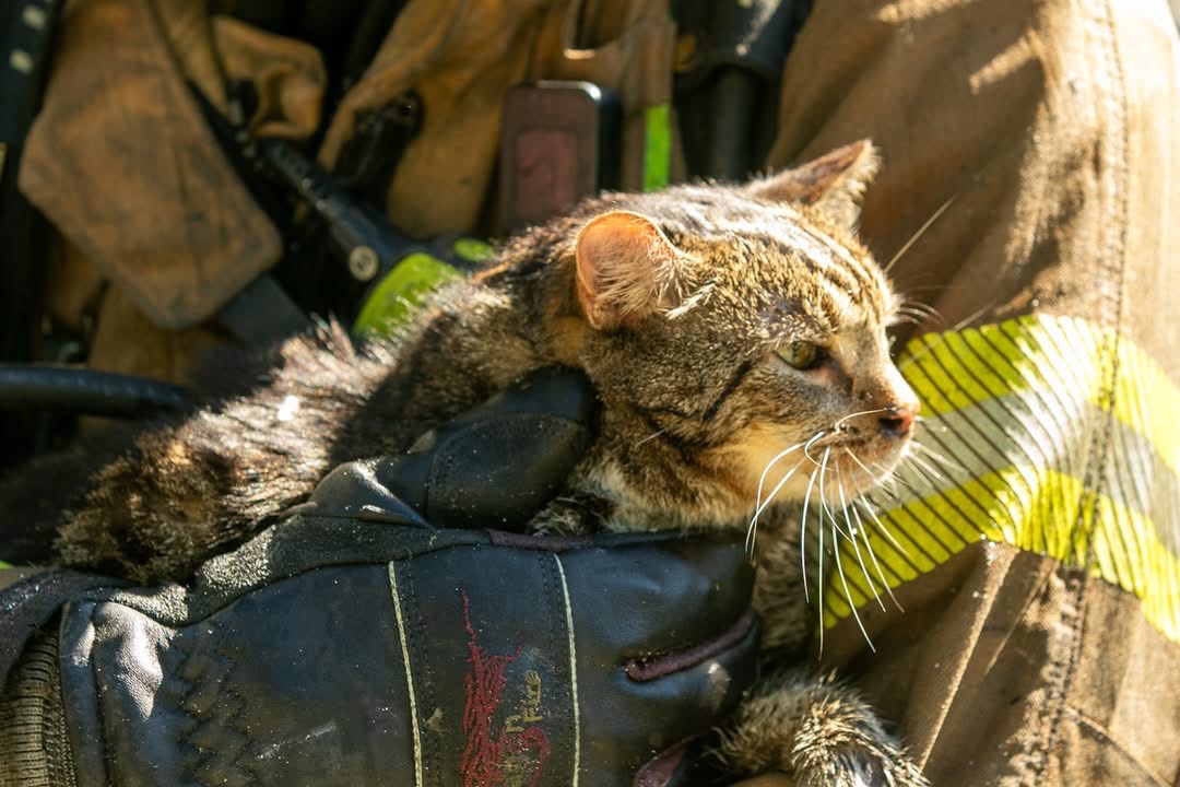 Fundraiser by Ashley Clark : Help My Sister Rebuild After House Fire