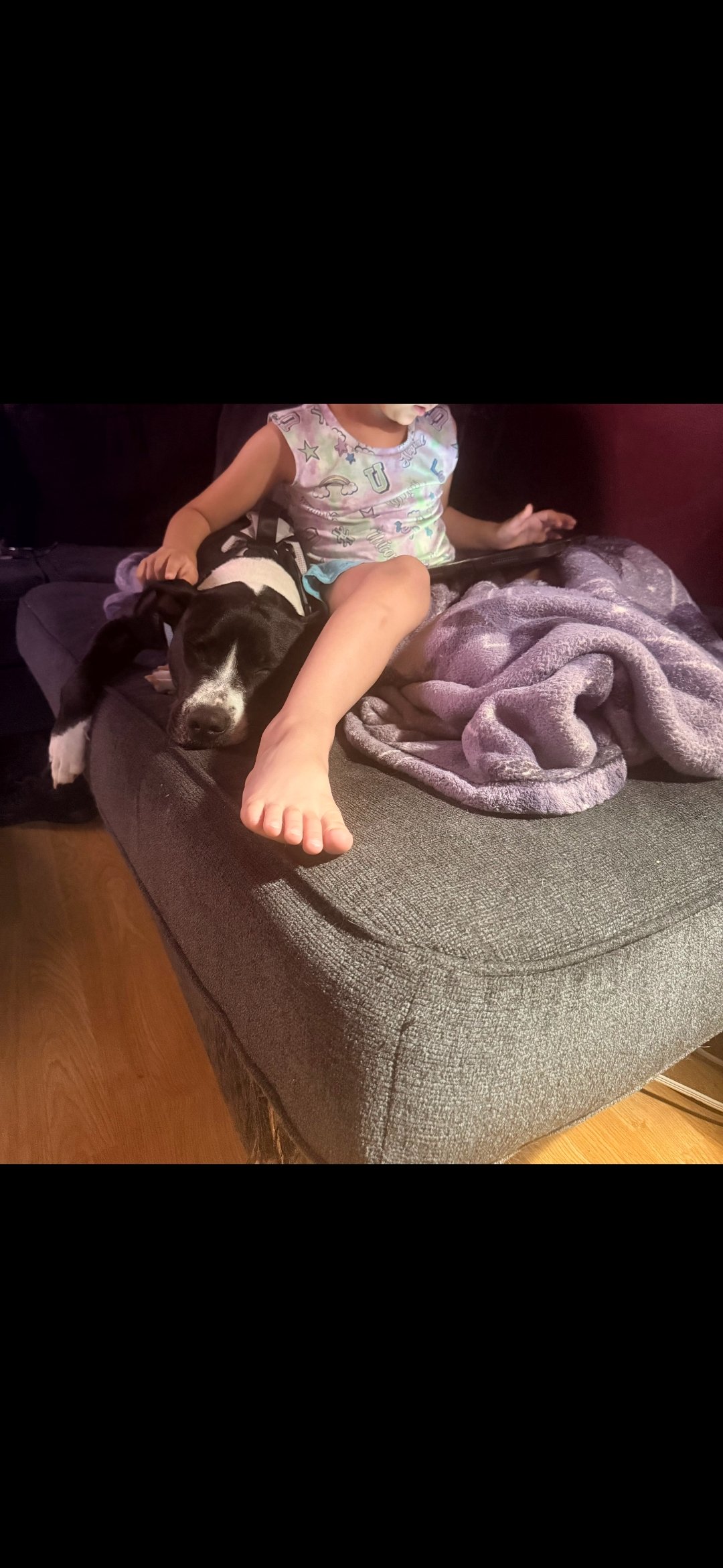 Help Us Help Minnie Have The Best Life campaign photo, 6 of 8