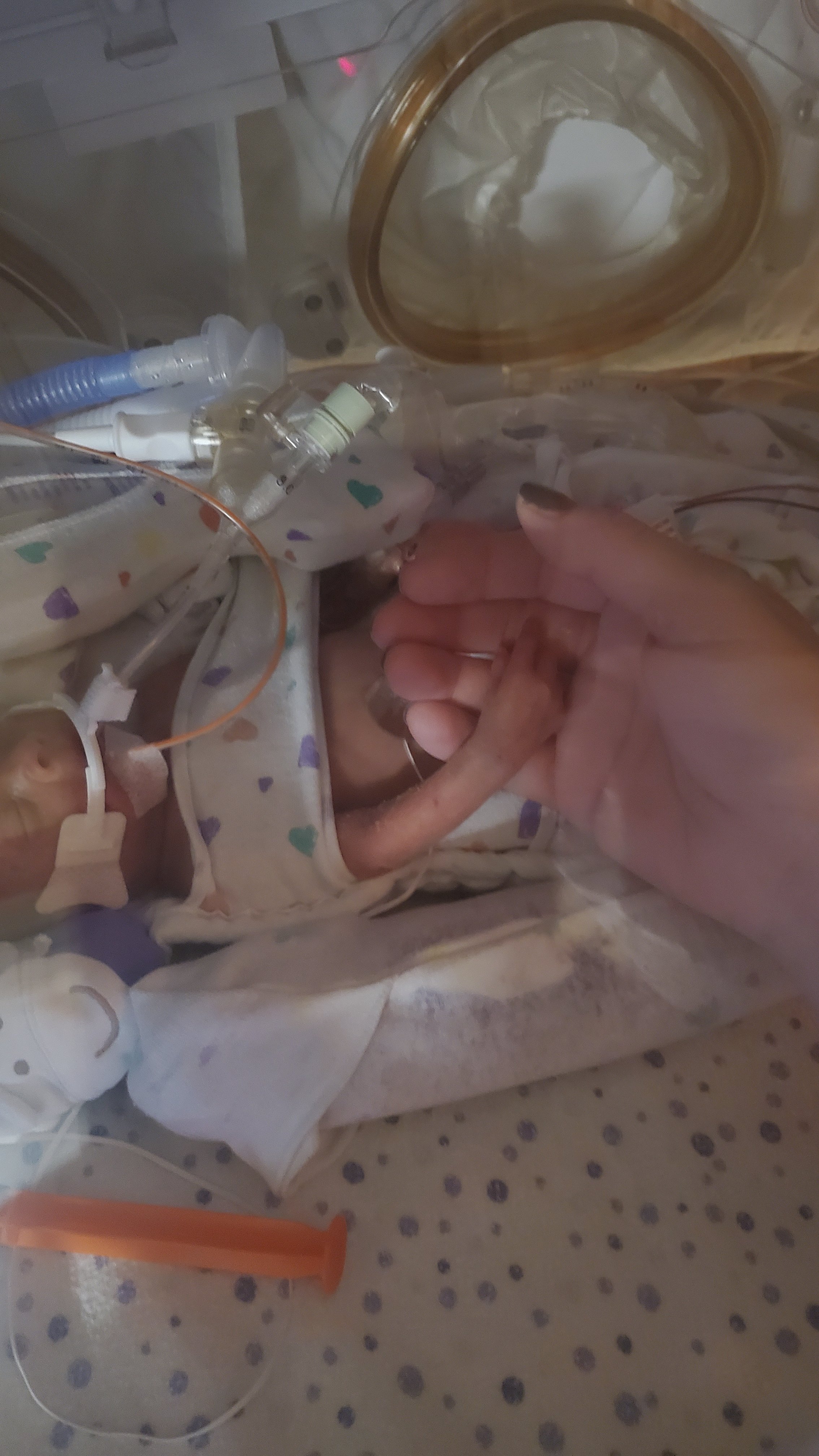 Help My Son Access Life-Changing Therapy campaign photo, 4 of 8