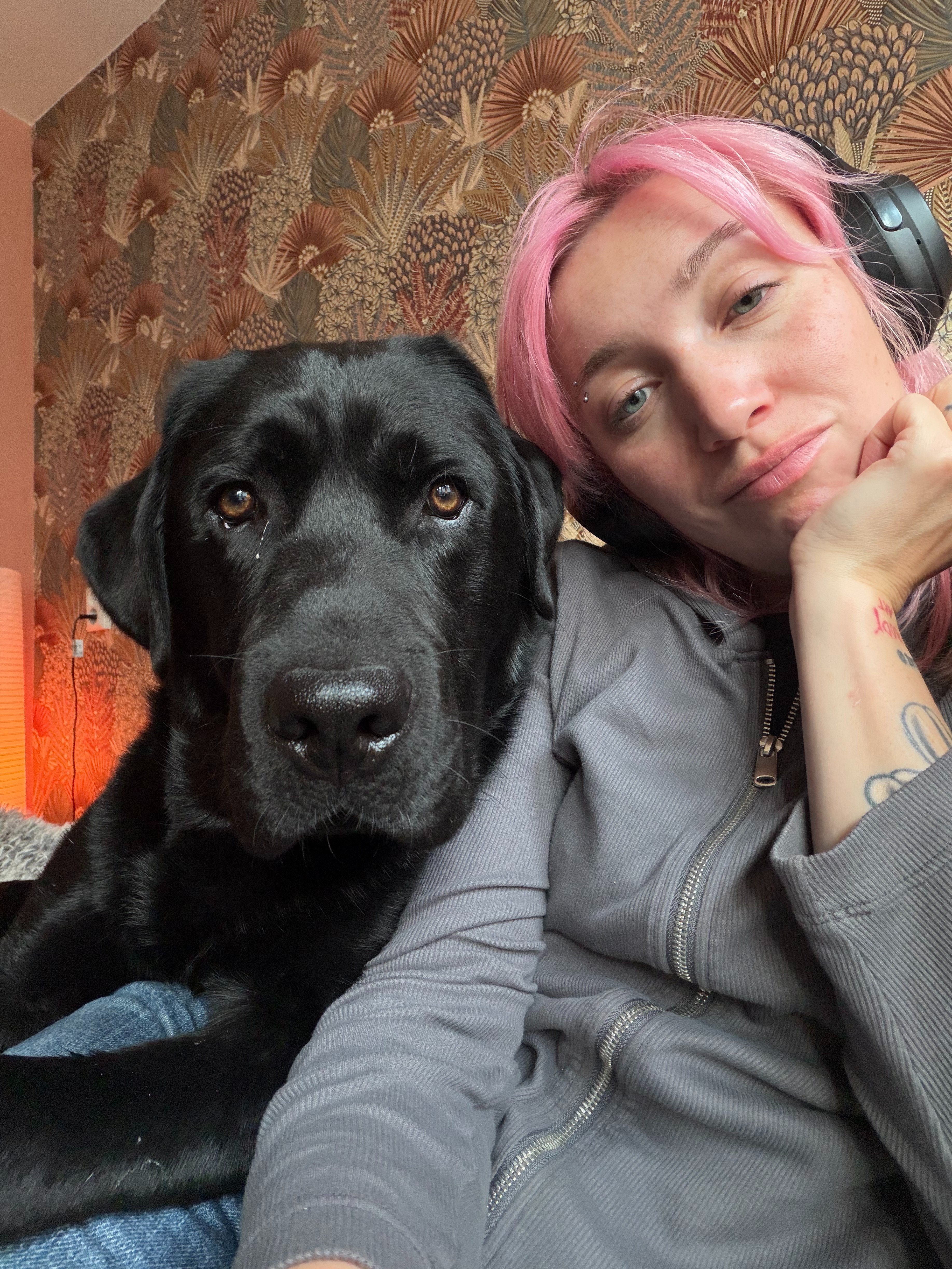 Help Boris verder op weg als assistentiehond campaign photo, 5 of 7