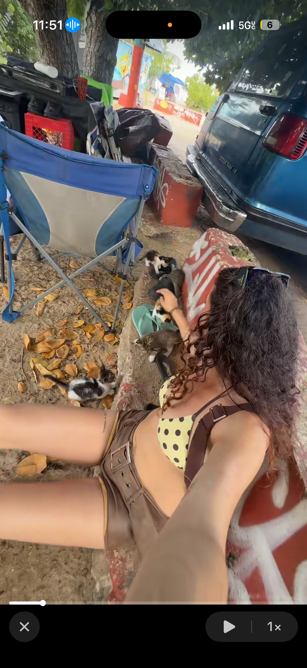 OPERAR GATITOS DE PLAYA CRASH BOAT AGUADILLA  campaign photo, 2 of 4