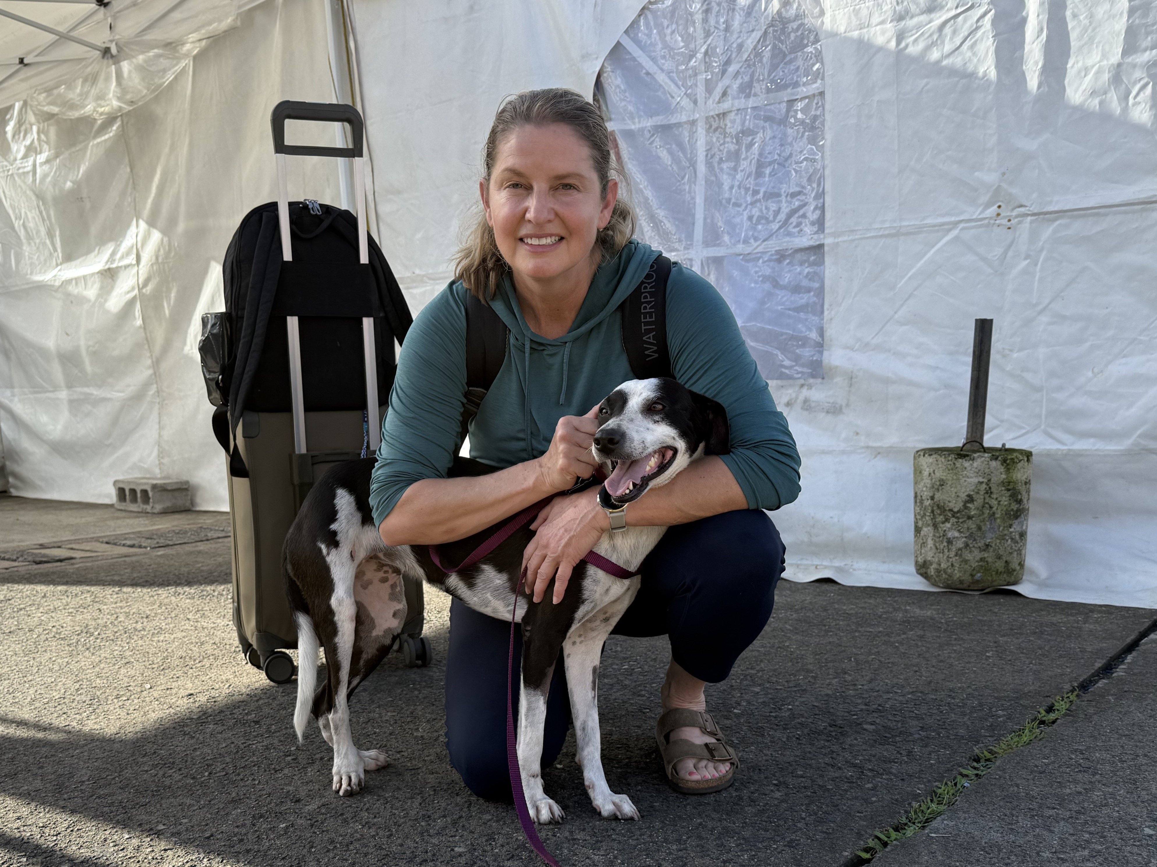 Help Power Hope for Dominica's Rescue Animals campaign photo, 4 of 8
