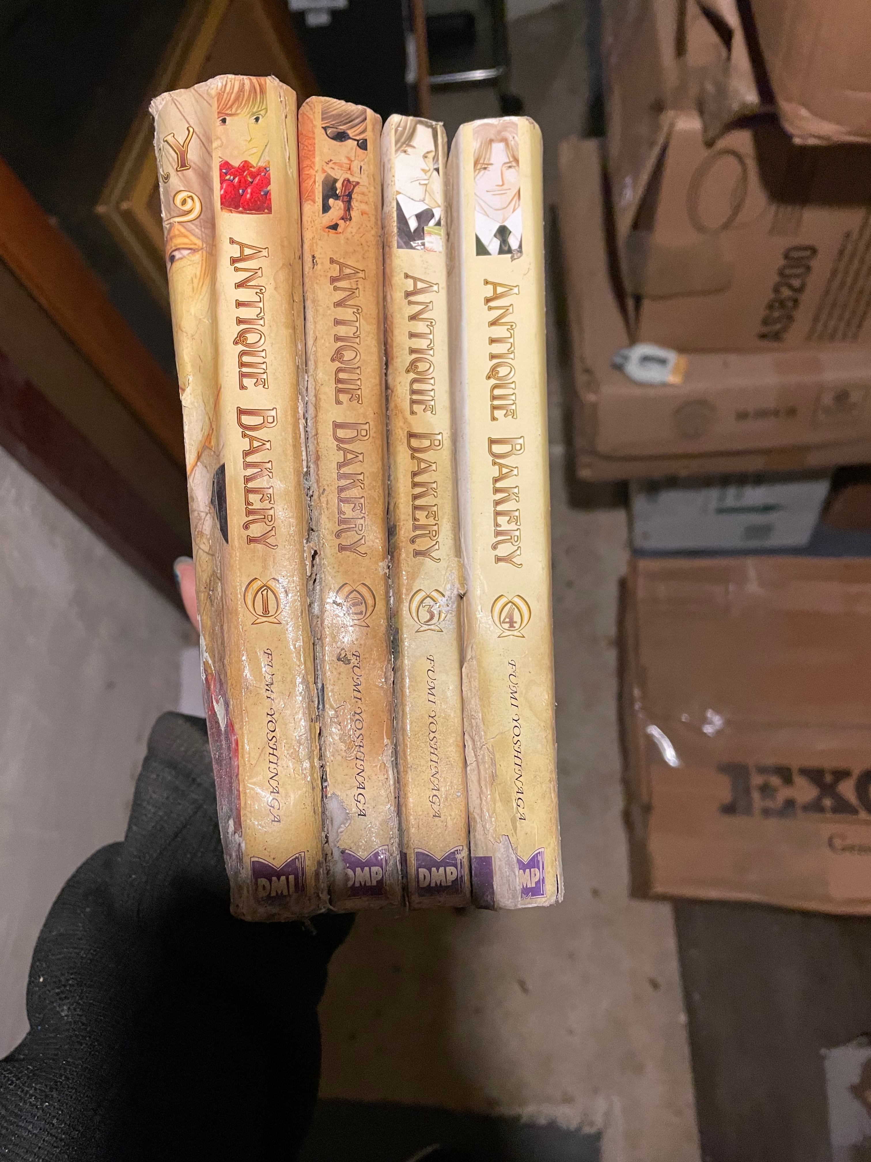 Help Rebuild a Manga Collection Lost to Flooding campaign photo, 2 of 8
