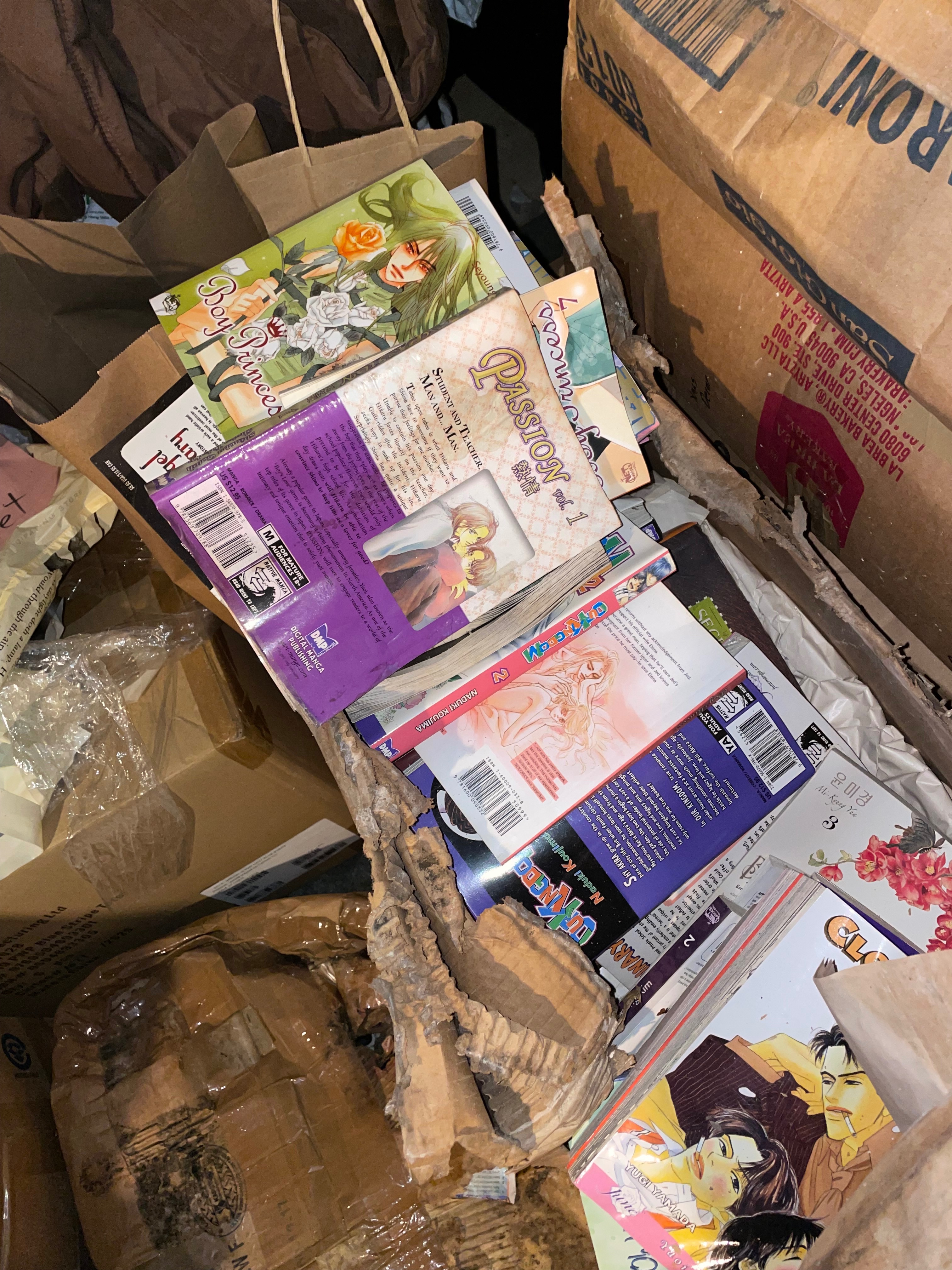 Help Rebuild a Manga Collection Lost to Flooding campaign photo, 7 of 8