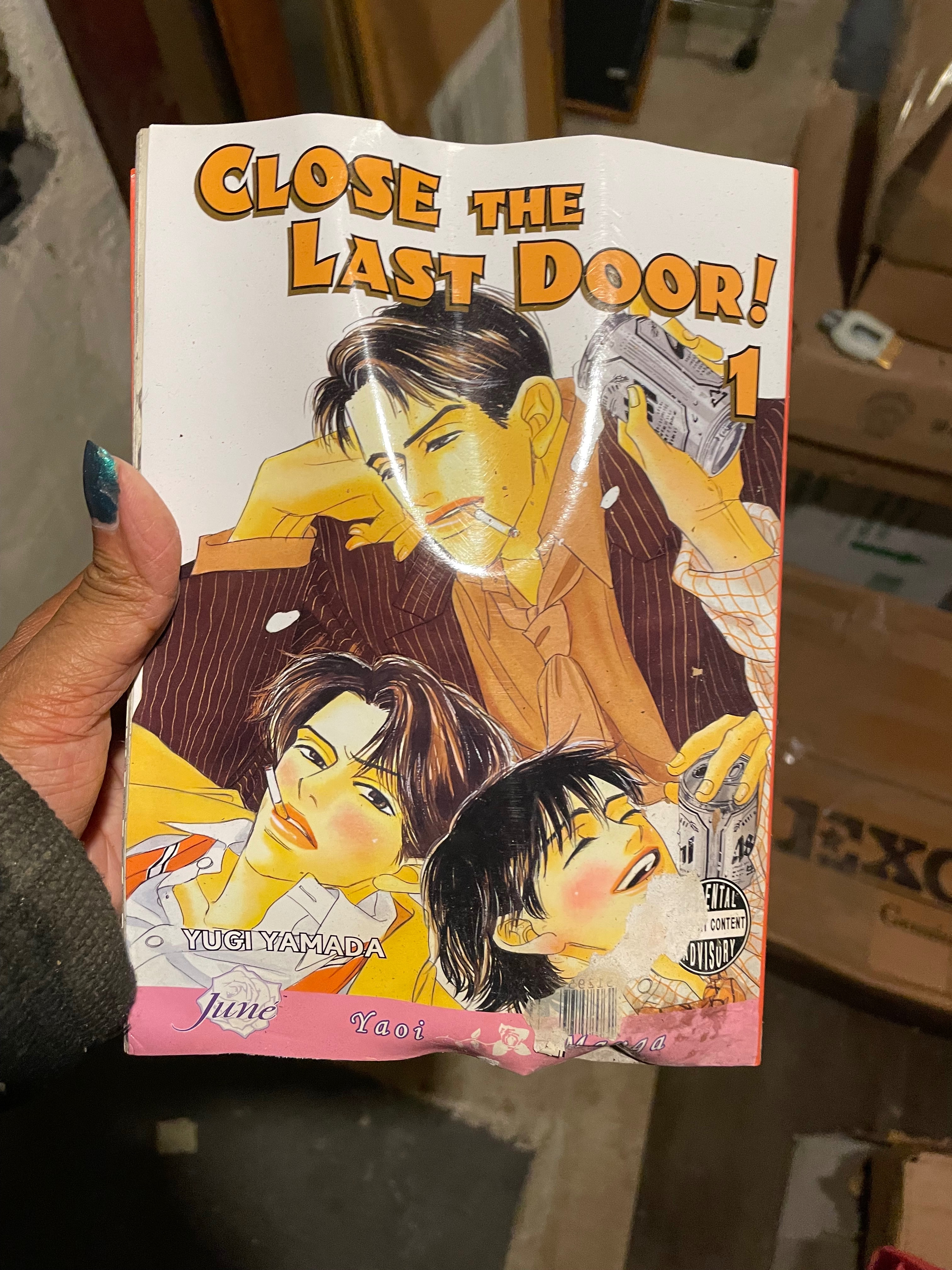 Help Rebuild a Manga Collection Lost to Flooding campaign photo, 4 of 8