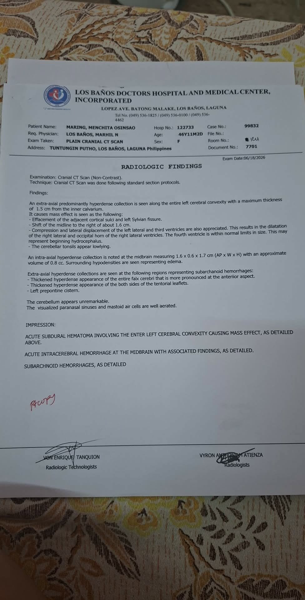 Help Menchie Fight and Recover from a Subdural Hemorrhage campaign photo, 2 of 8