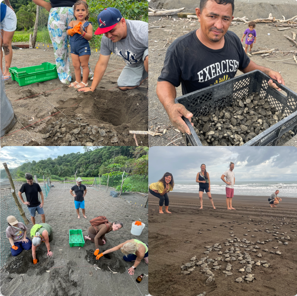 Protecting Cambutal's Sea Turtles Together campaign photo, 5 of 8