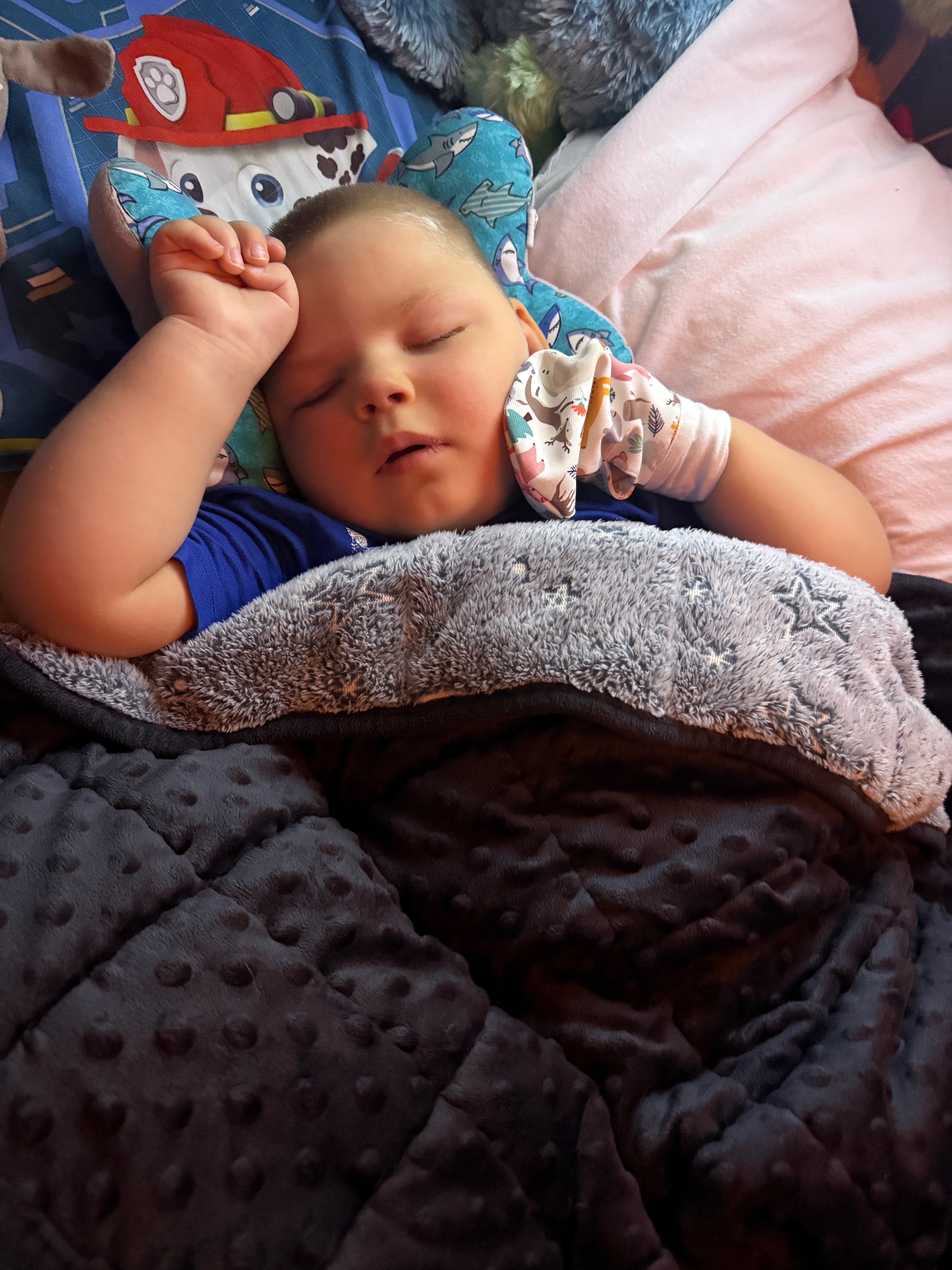 Help Kaiden Get a Wheelchair-Accessible Van campaign photo, 4 of 8