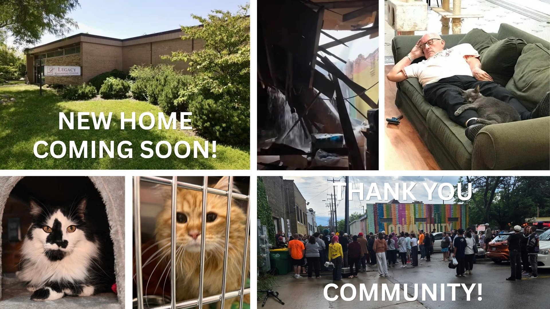 Help Safe Haven Pet Sanctuary Recover campaign photo, 6 of 8