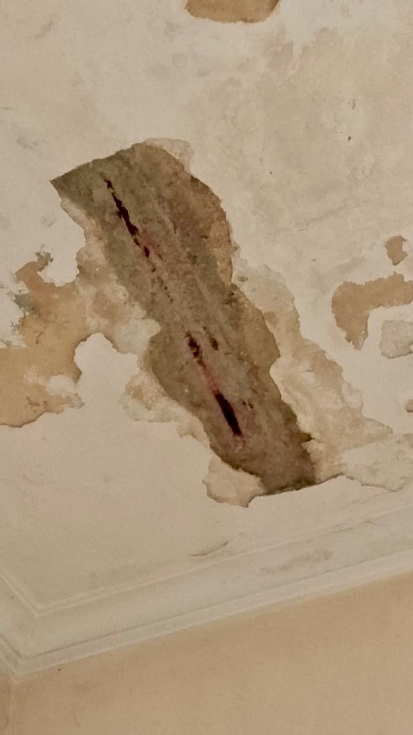 Help My Mother Restore Her Earthquake-Damaged Home campaign photo, 7 of 8