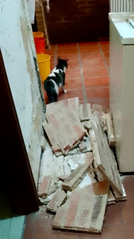 Help My Mother Restore Her Earthquake-Damaged Home campaign photo, 2 of 8