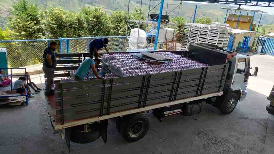 Help Families Recover After Venezuela's Earthquake campaign photo, 7 of 13