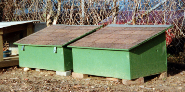 Foto della campagna Support Raghav’s Eagle Project: Cat Shelters & Cat Trees, 5 di 6