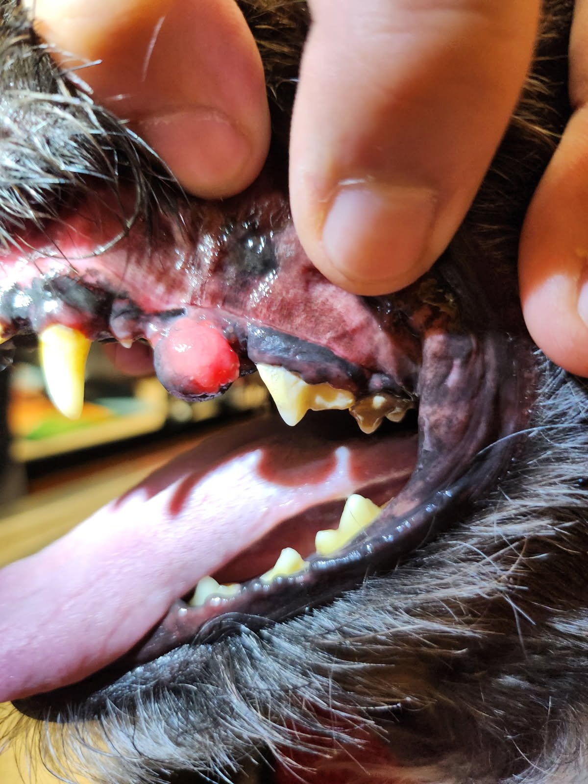 Help Lady Get Life-Saving Surgery campaign photo, 2 of 5