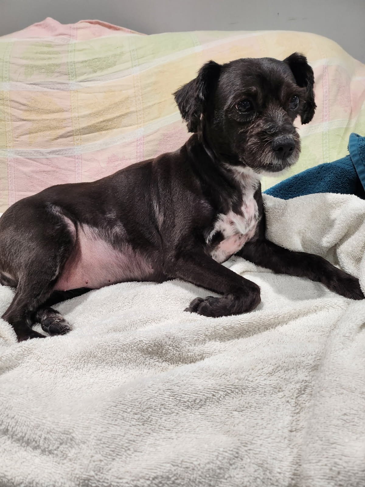 Help Lady Get Life-Saving Surgery campaign photo, 4 of 5