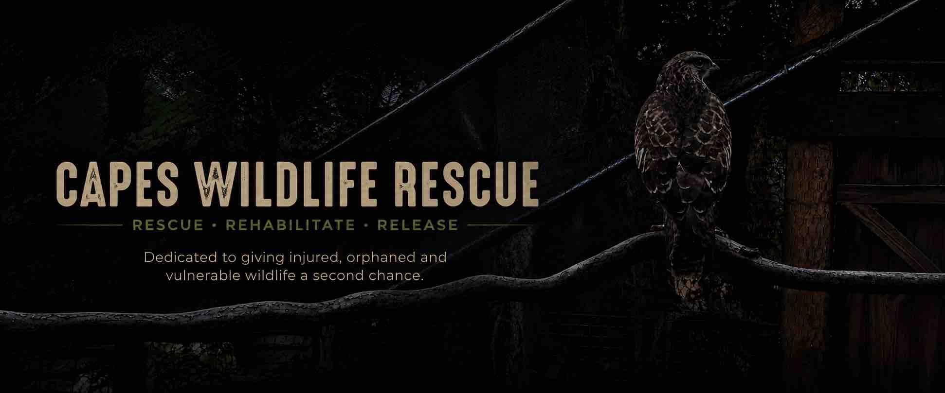 CapesWildlifeRescue Donations campaign photo, 8 of 11