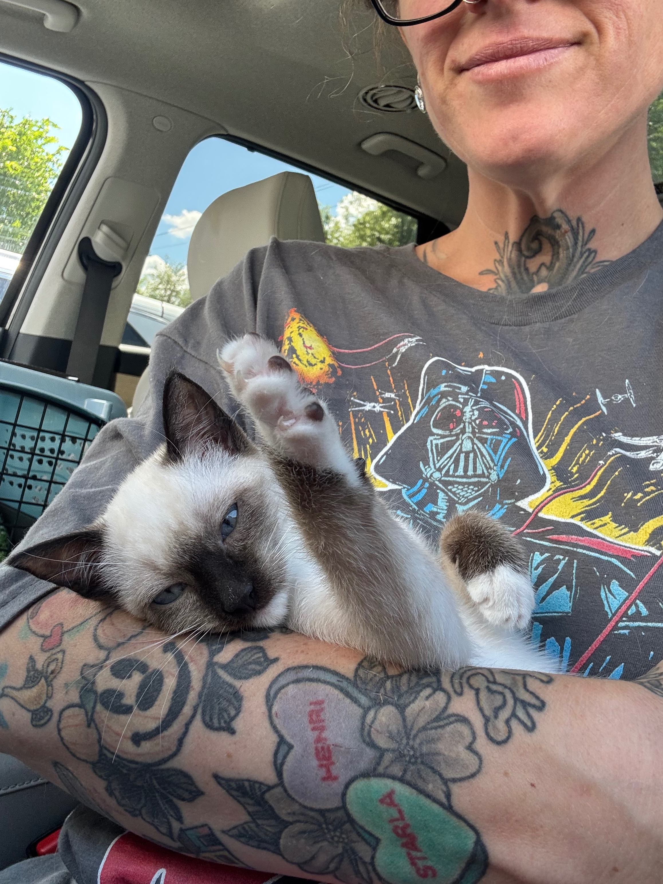 Help My Rescue Kitten KoKo Fight Panleukopenia campaign photo, 2 of 8